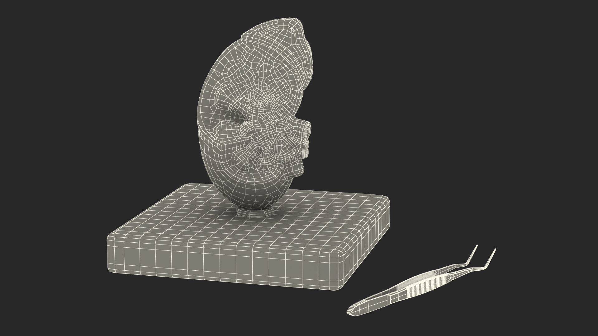 Medical Anatomical Kidney Human for 3D Print 3D model