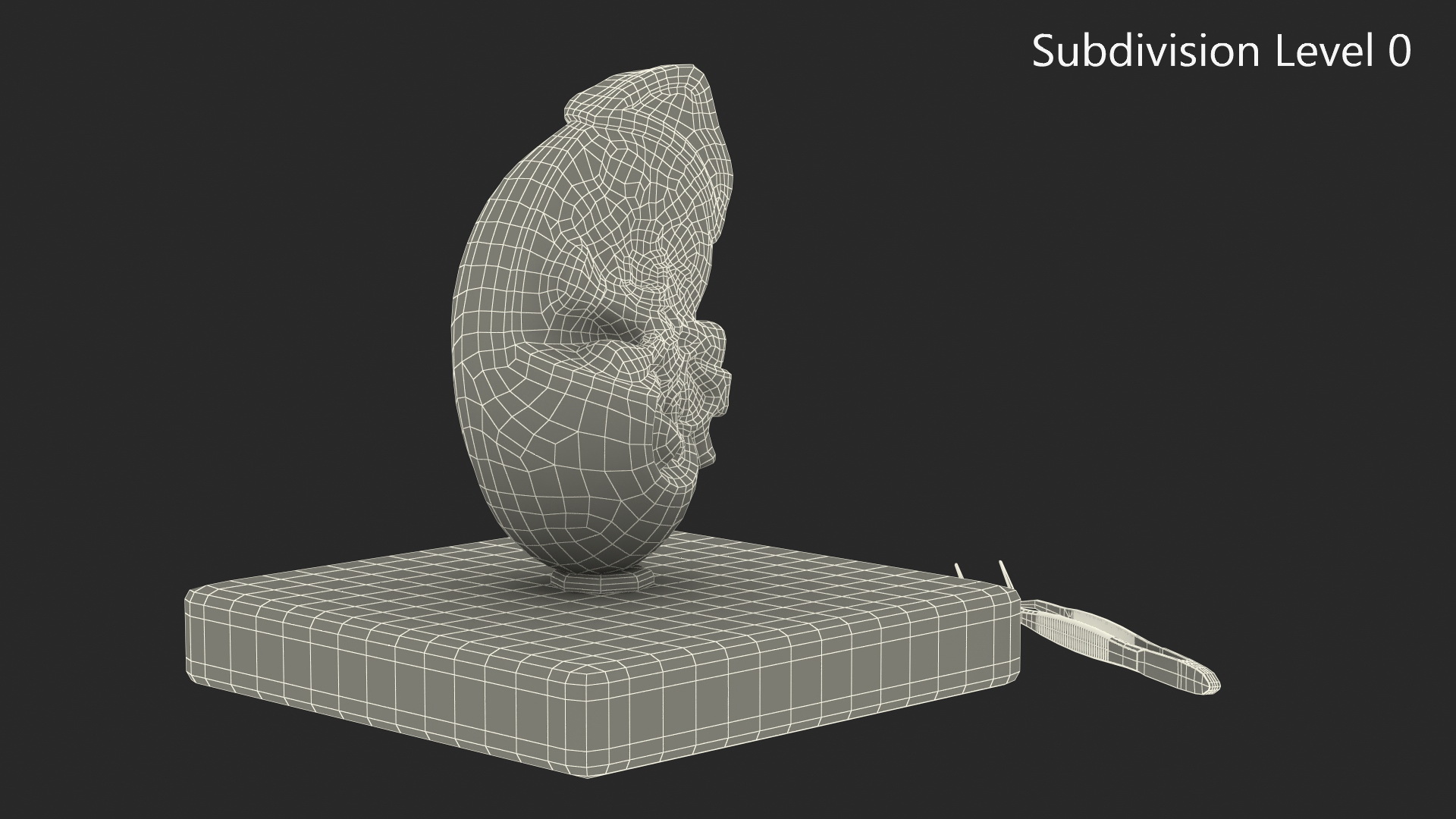 Medical Anatomical Kidney Human for 3D Print 3D model