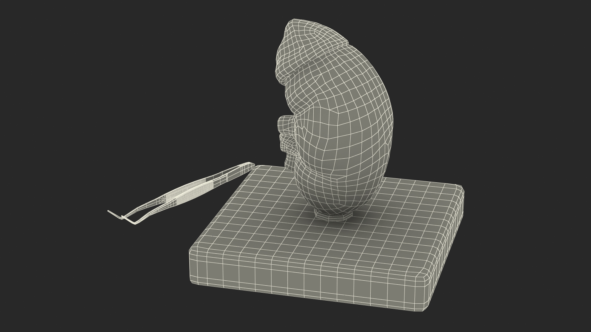 Medical Anatomical Kidney Human for 3D Print 3D model
