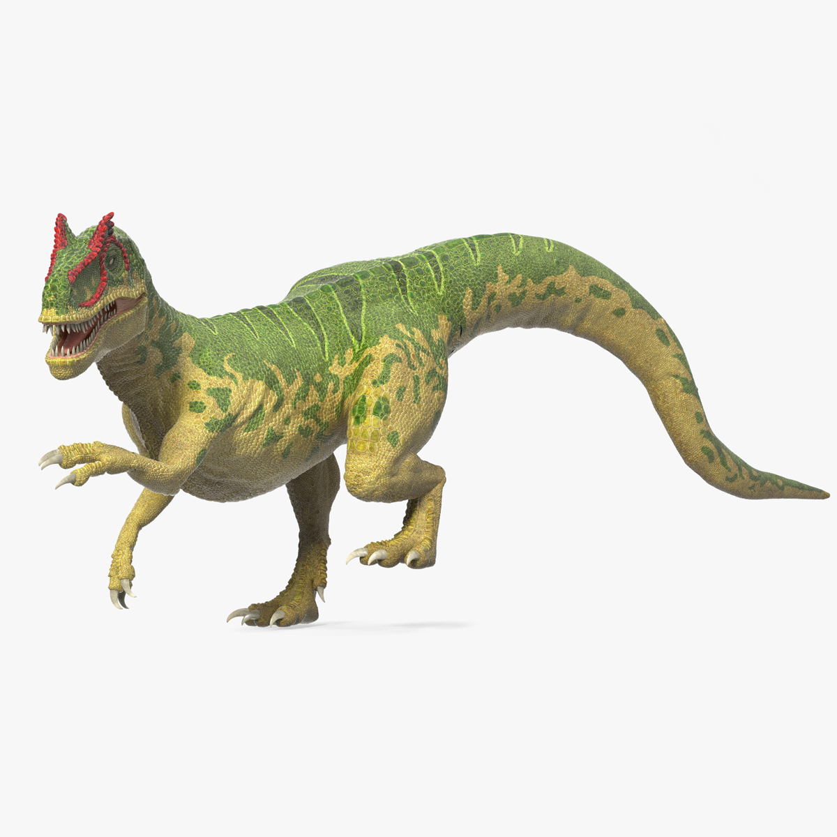 3D Allosaurus Green Coloring Rigged for Cinema 4D
