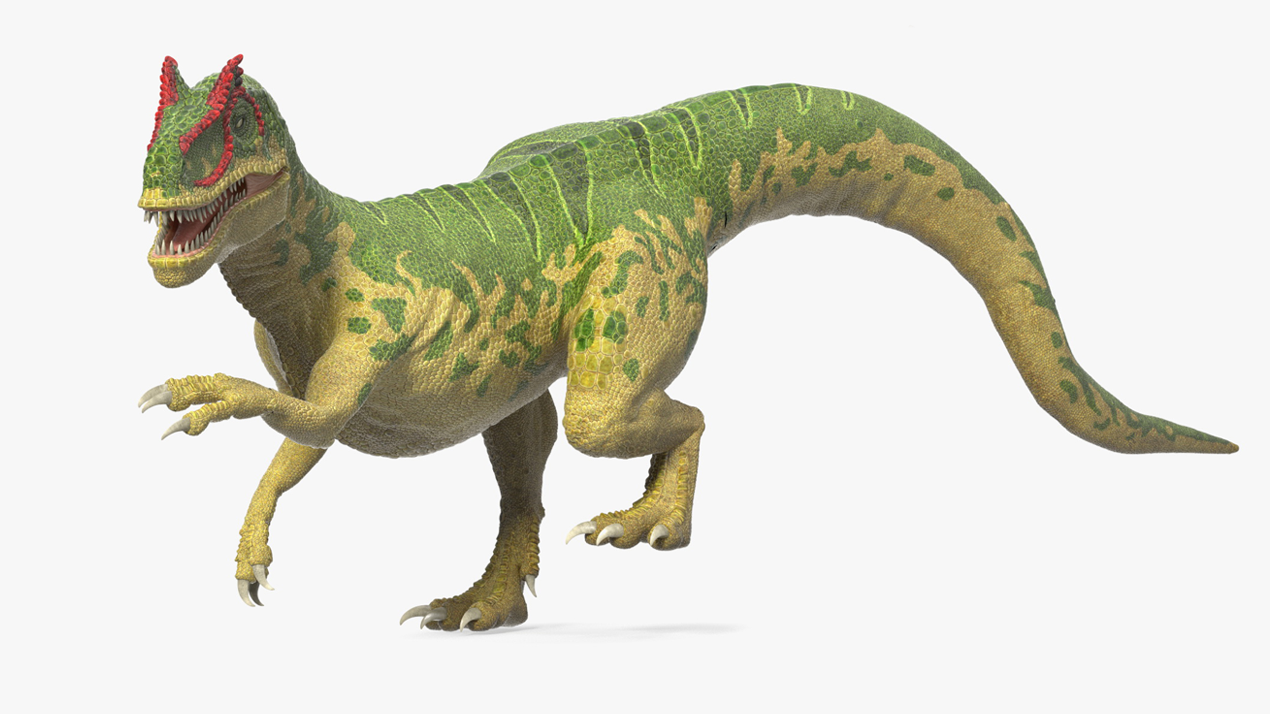 3D Allosaurus Green Coloring Rigged for Cinema 4D