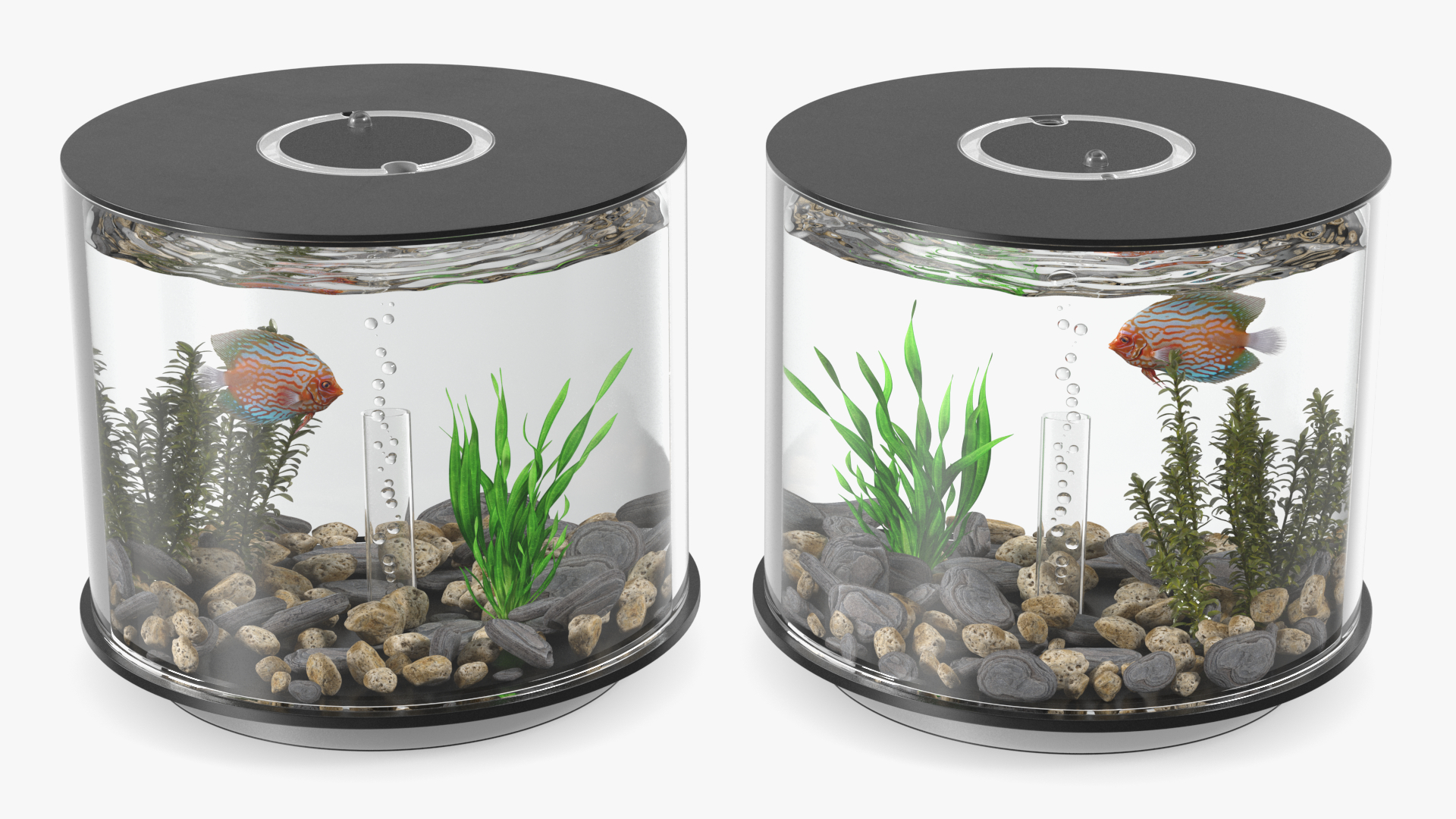 Black Cylinder Fish Tank 3D model