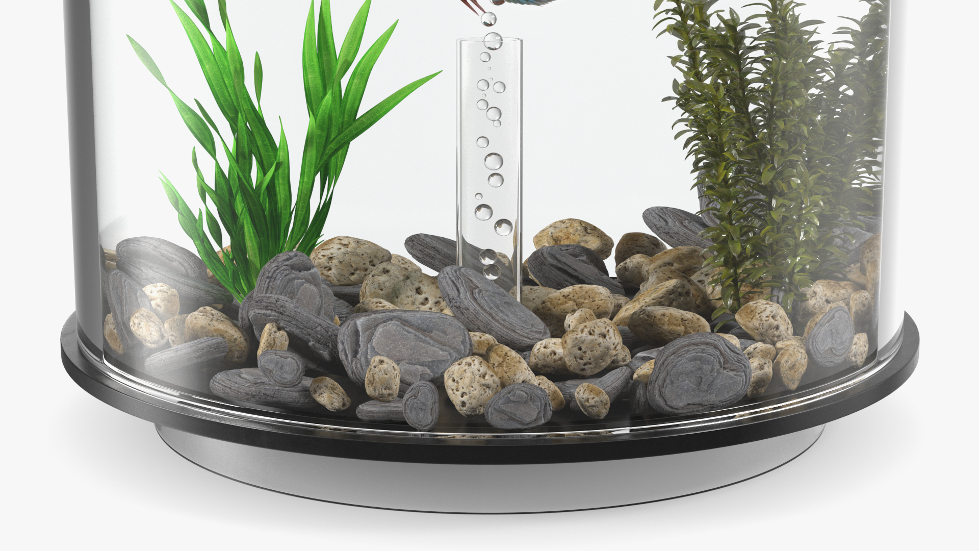Black Cylinder Fish Tank 3D model