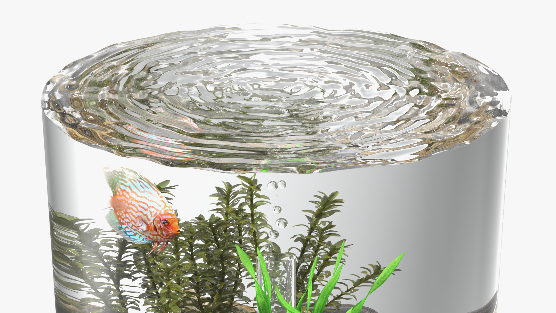 Black Cylinder Fish Tank 3D model