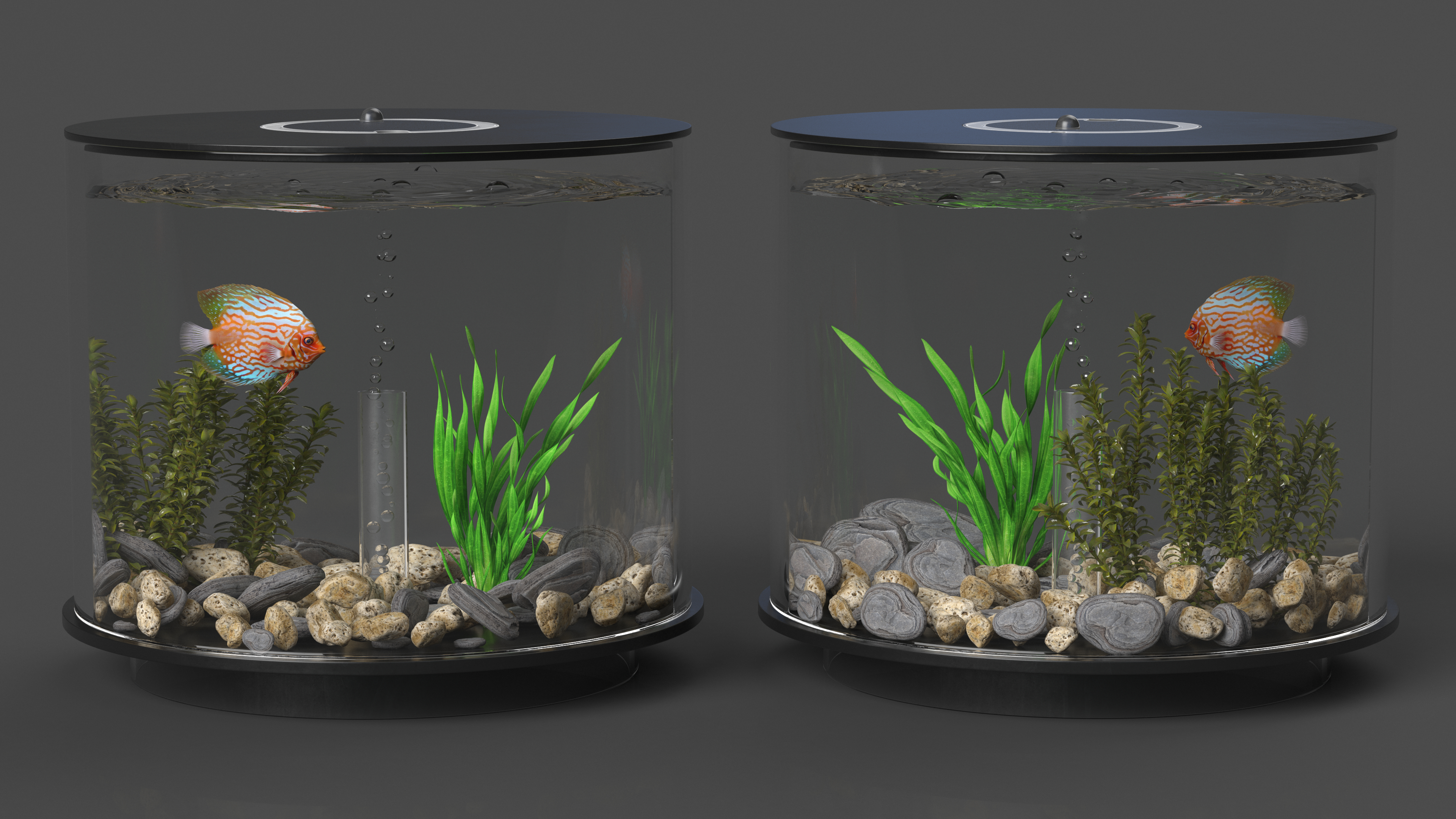 Black Cylinder Fish Tank 3D model