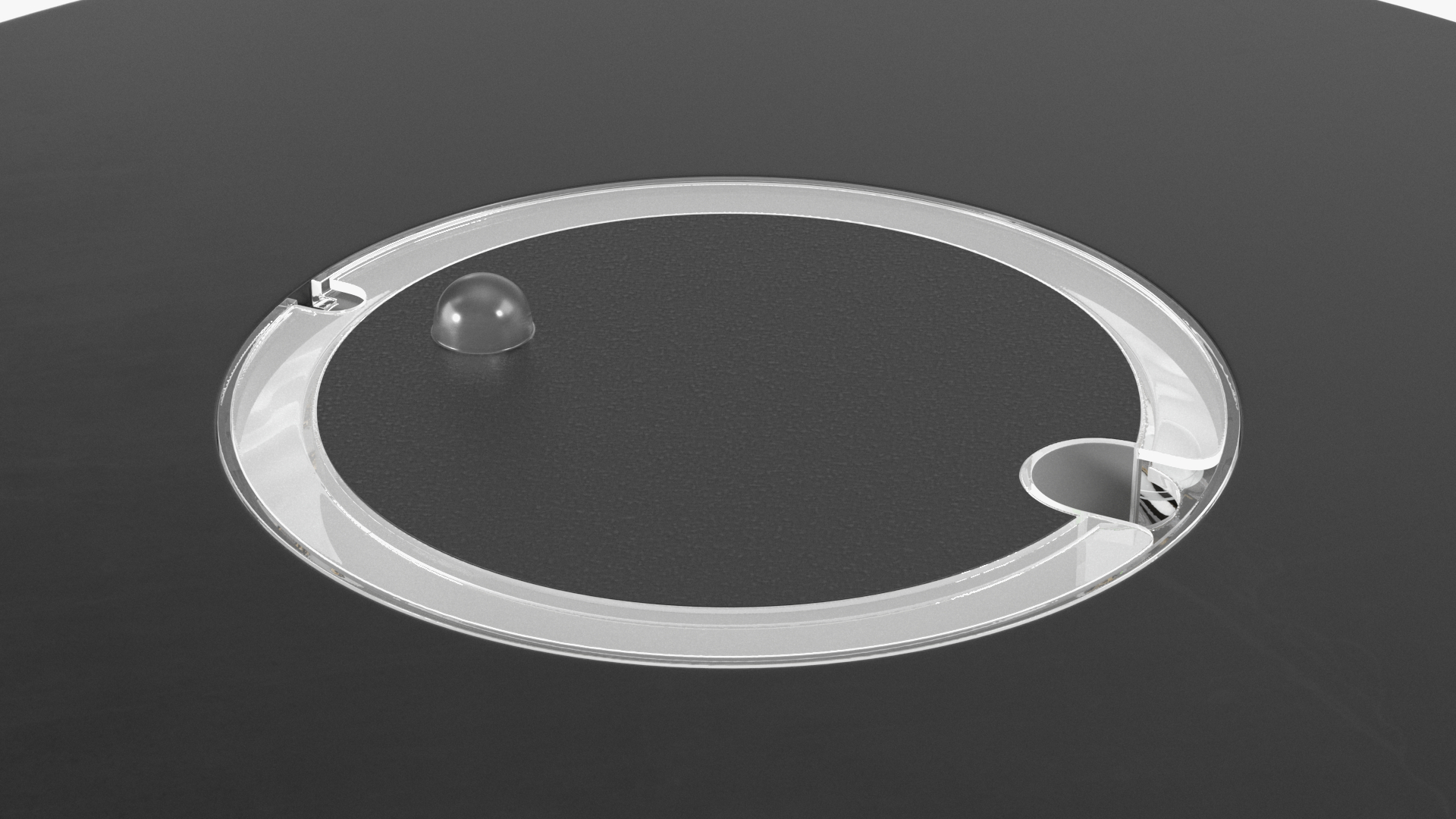 Black Cylinder Fish Tank 3D model
