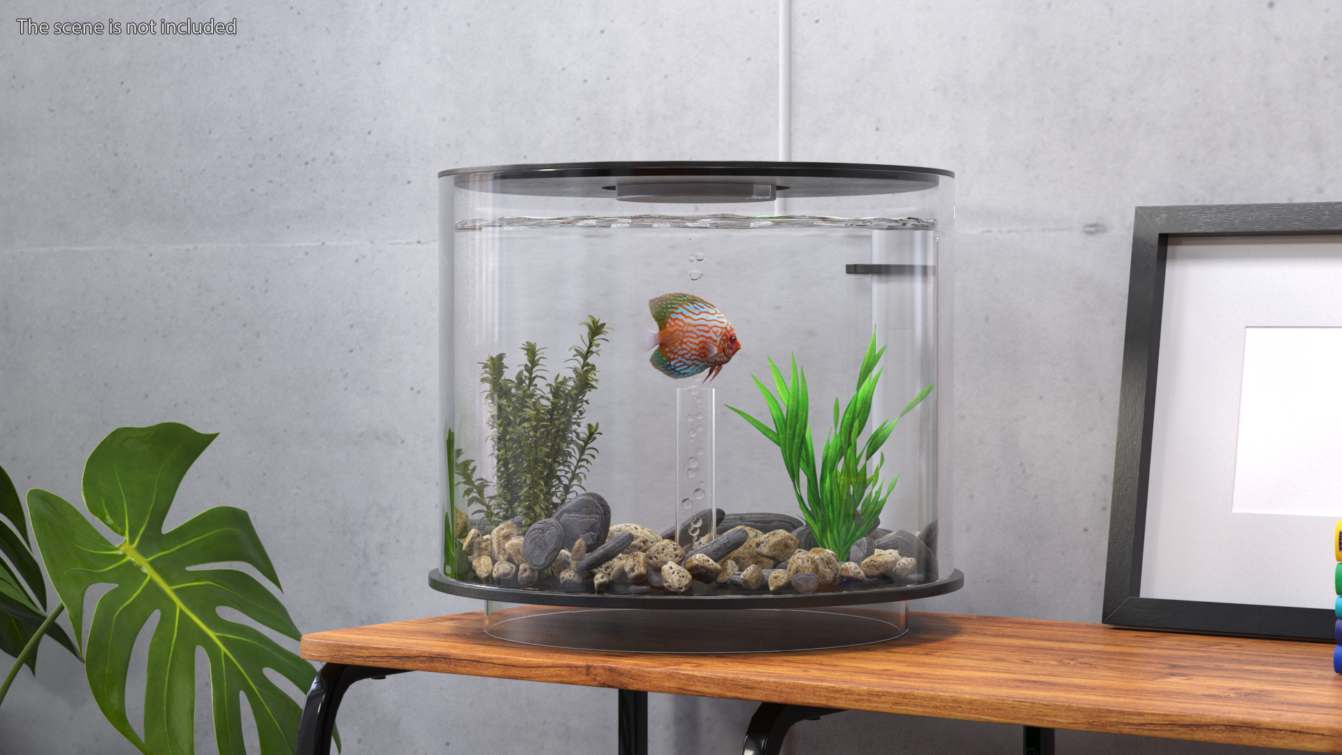 Black Cylinder Fish Tank 3D model