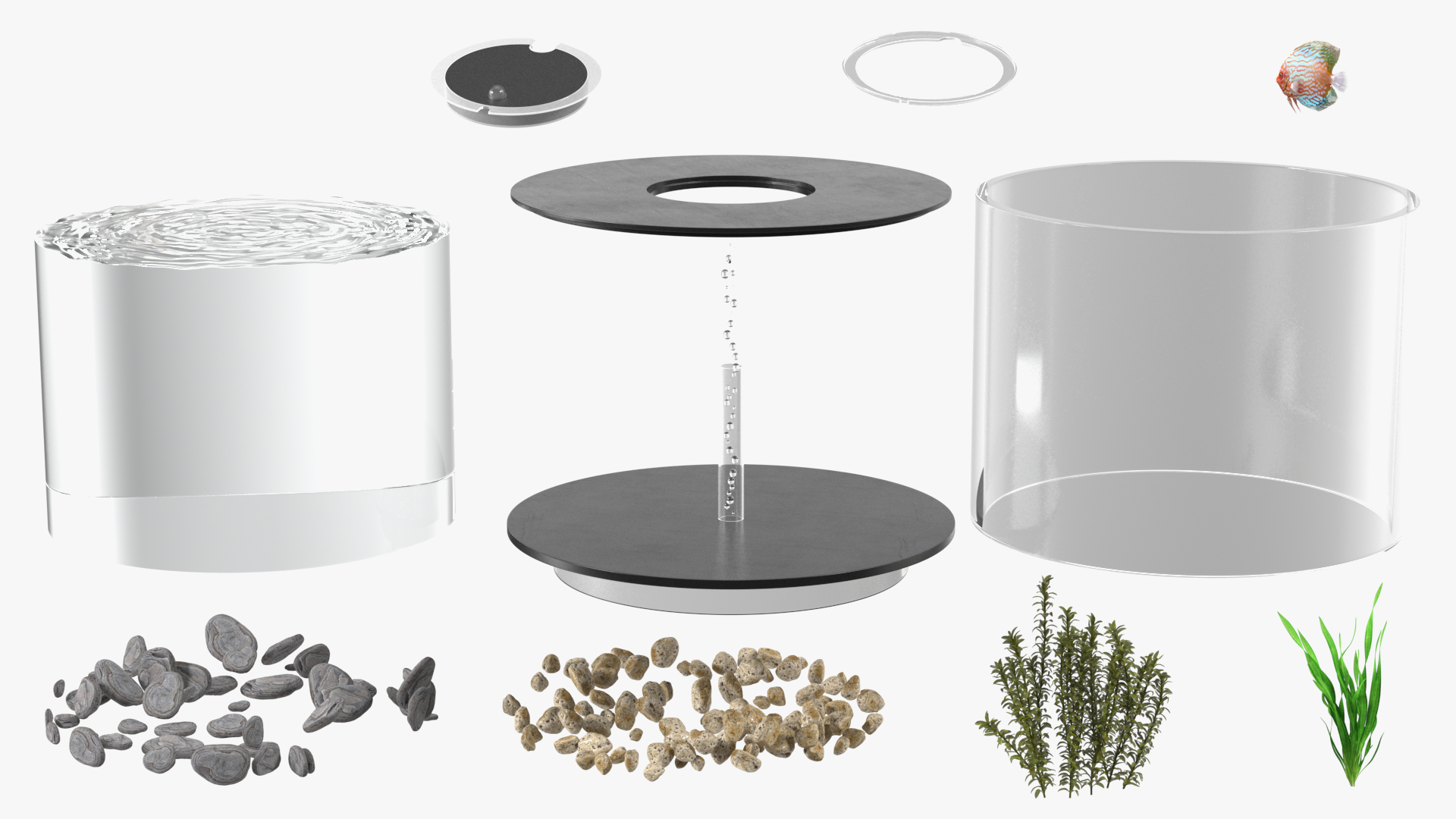 Black Cylinder Fish Tank 3D model