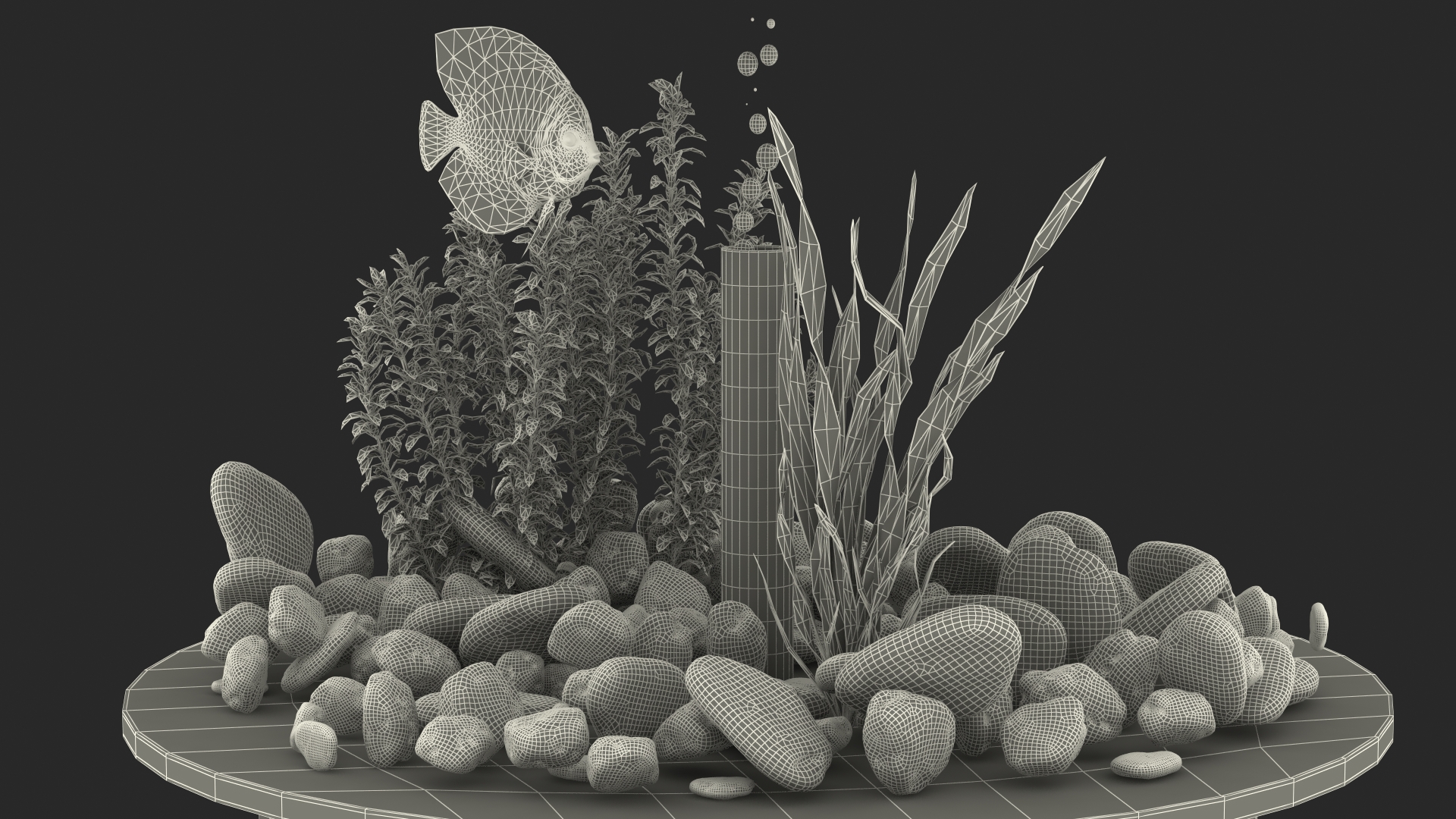 Black Cylinder Fish Tank 3D model