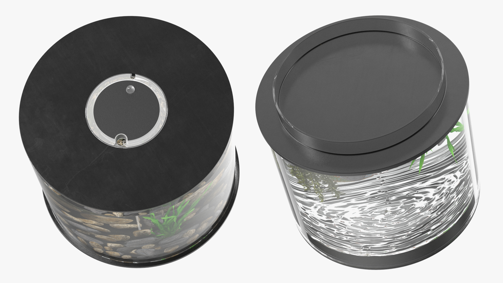 Black Cylinder Fish Tank 3D model