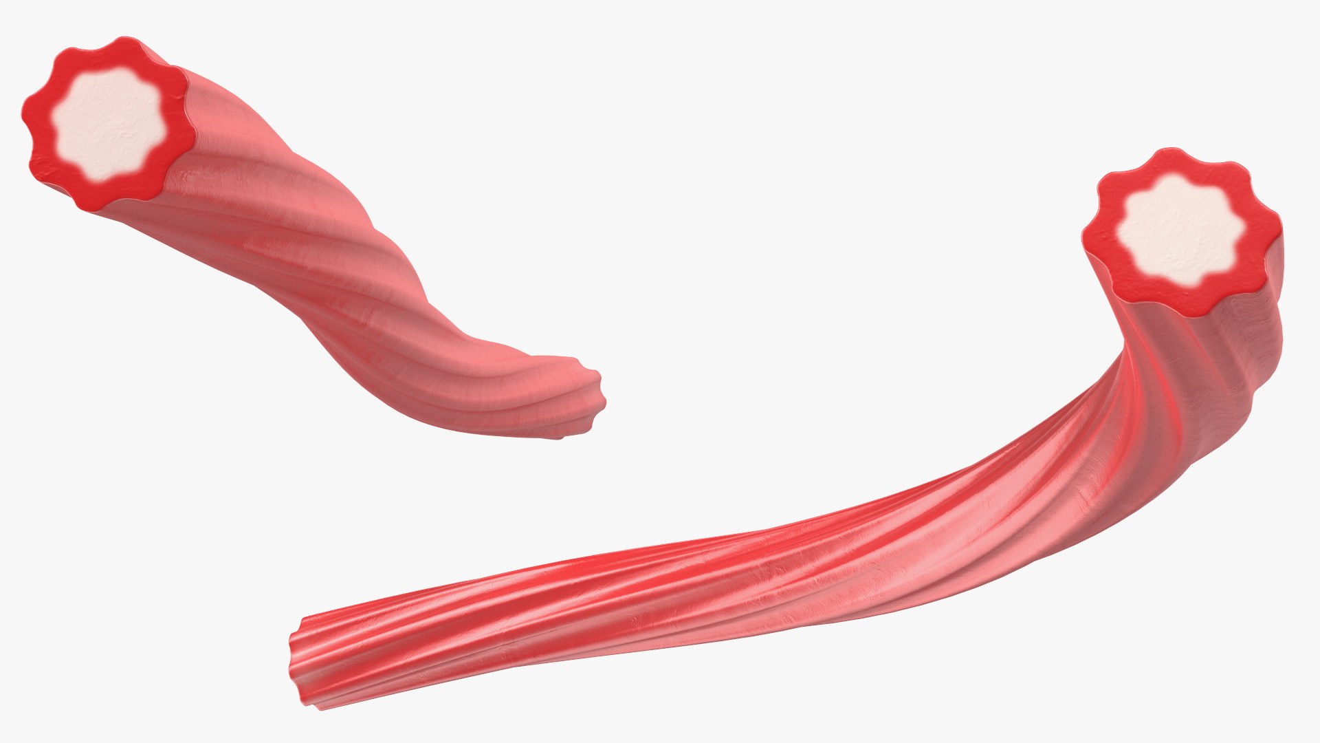 3D Red Gummy Candies Licorice Twisted Rope Set model