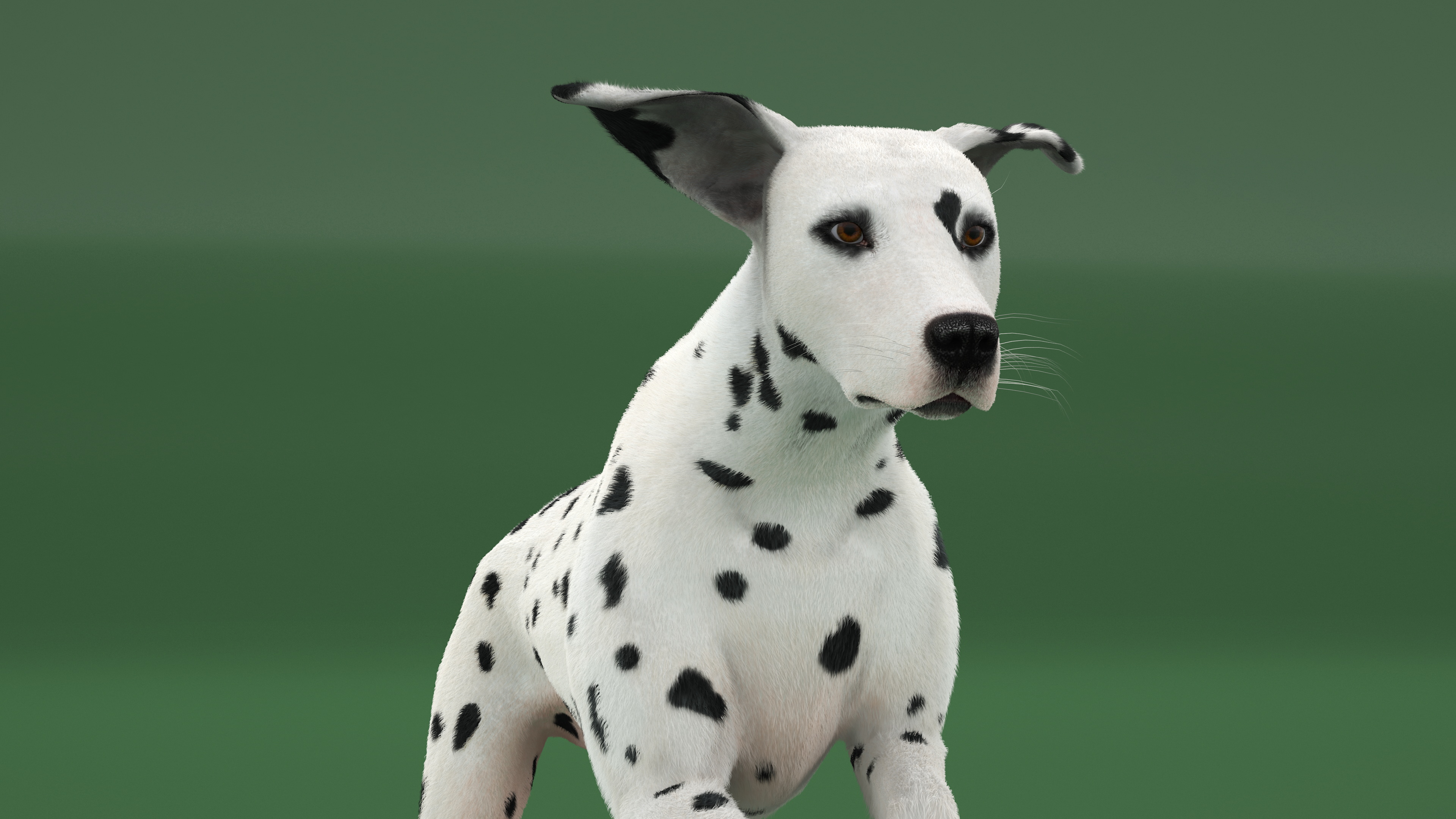 3D model Running Dalmatian Dog Fur