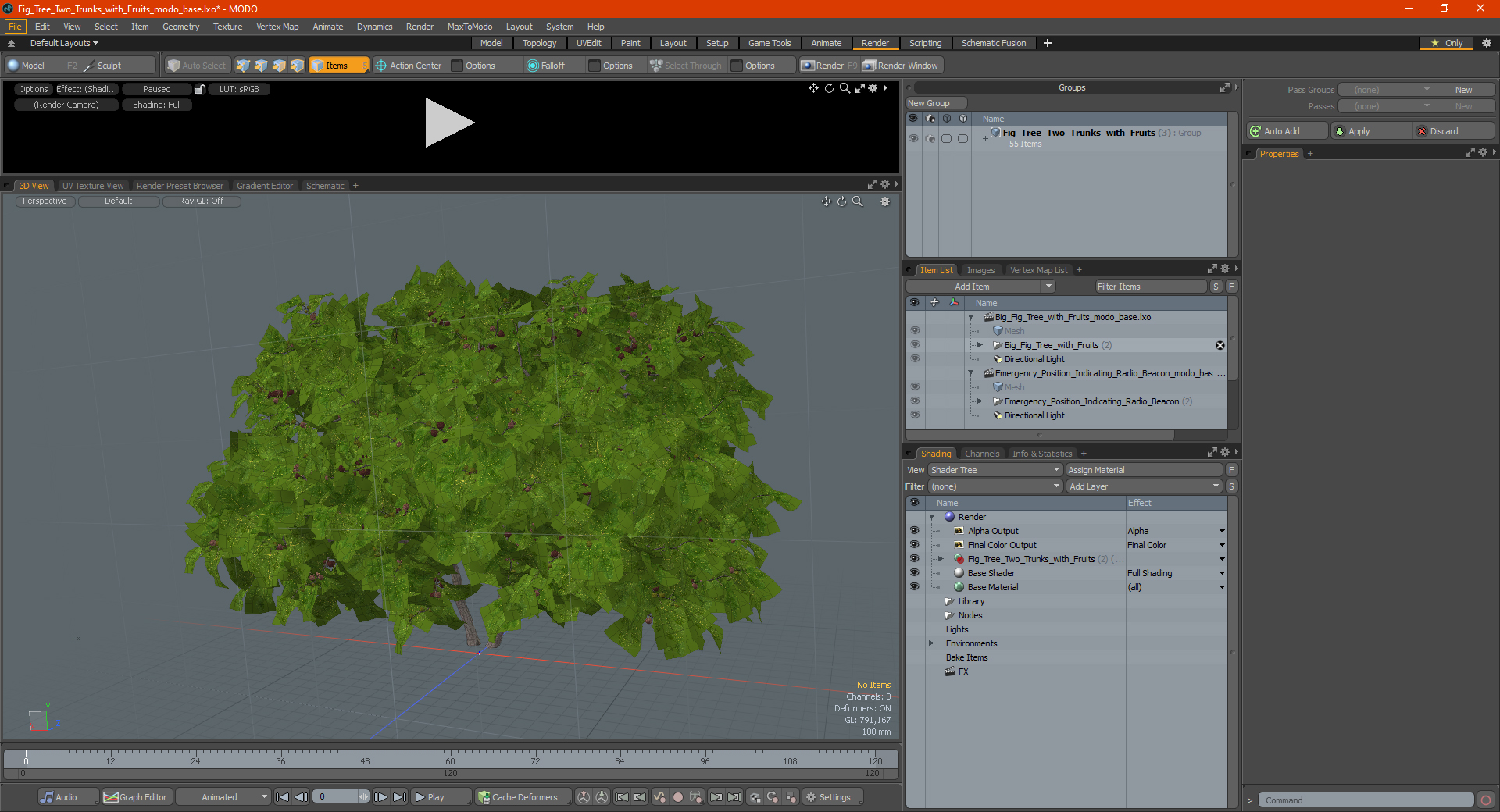 3D Fig Tree Two Trunks with Fruits