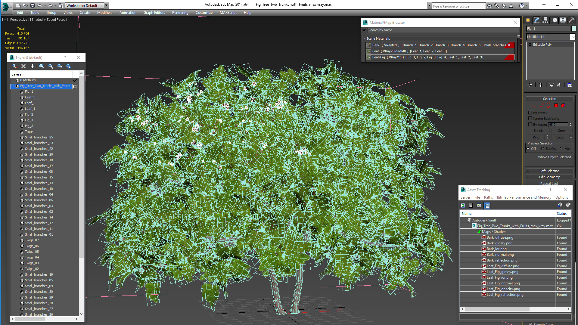 3D Fig Tree Two Trunks with Fruits