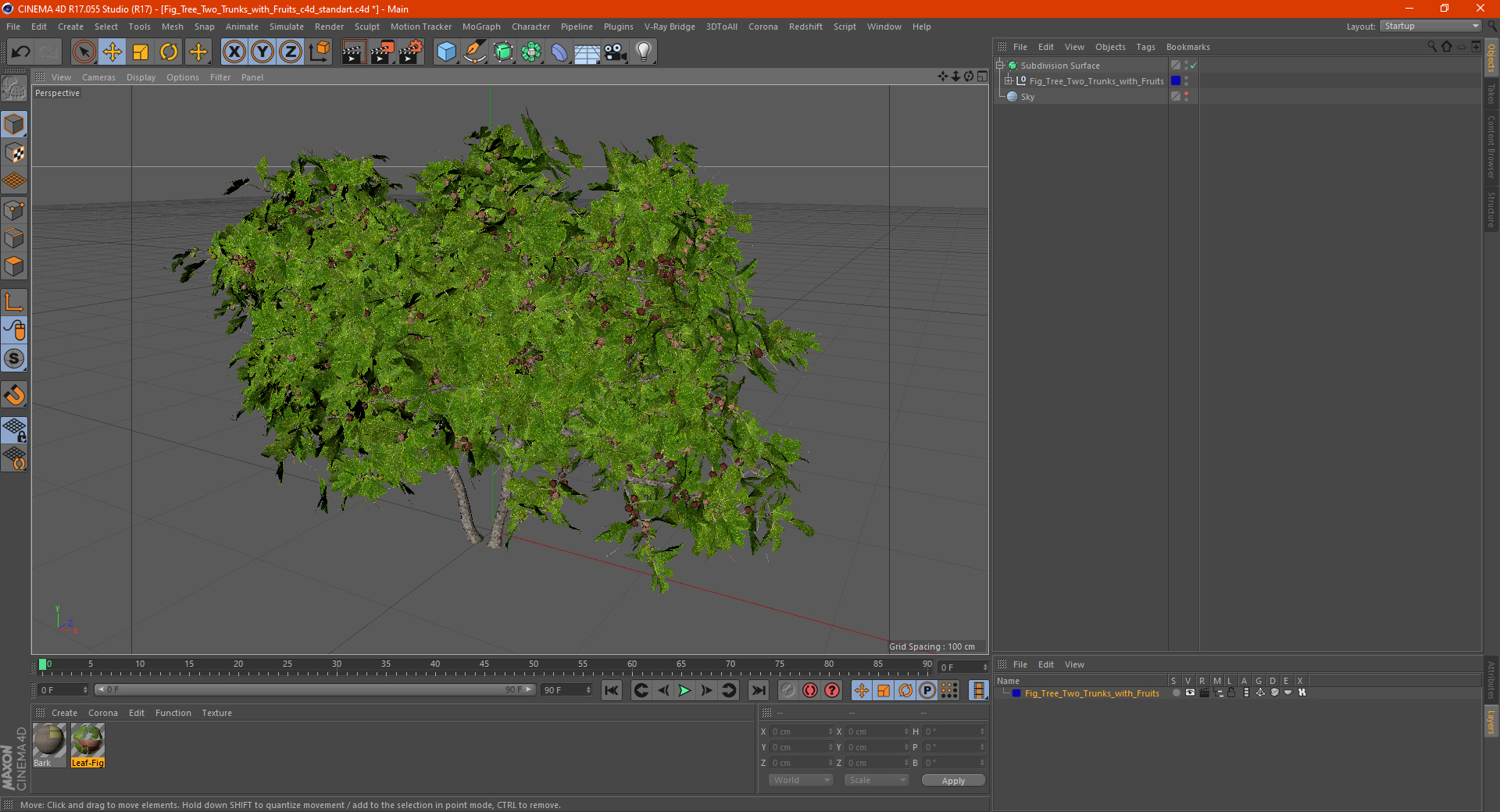 3D Fig Tree Two Trunks with Fruits