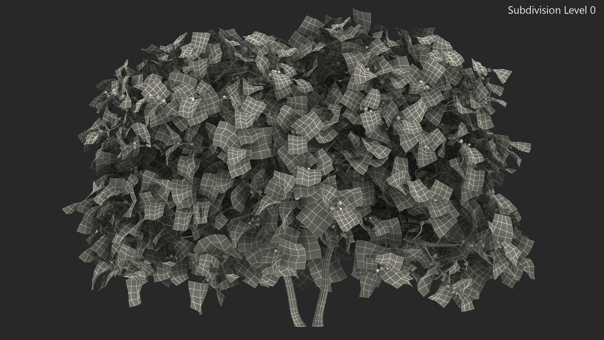 3D Fig Tree Two Trunks with Fruits