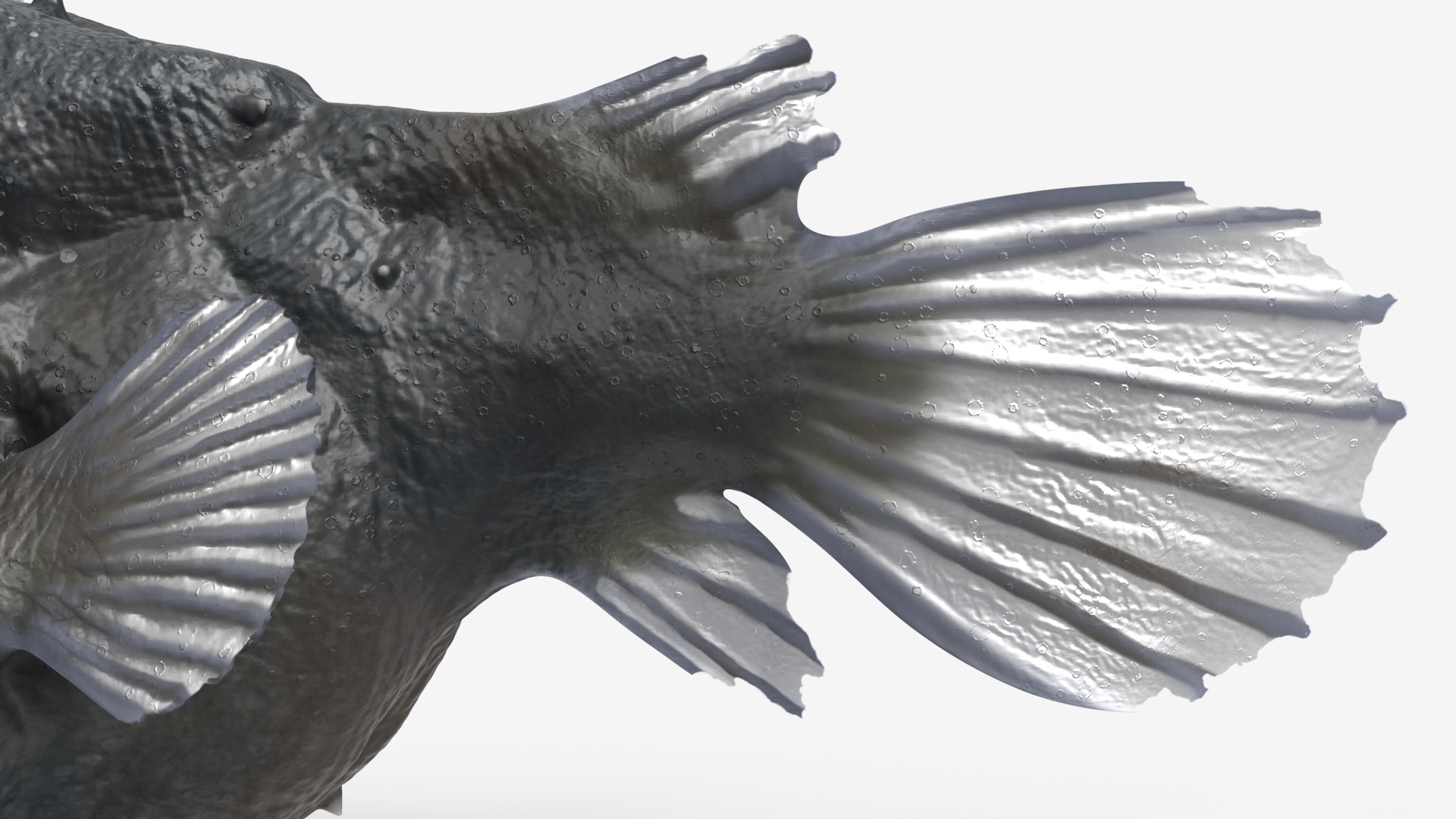 3D Anglerfish Rigged for Cinema 4D