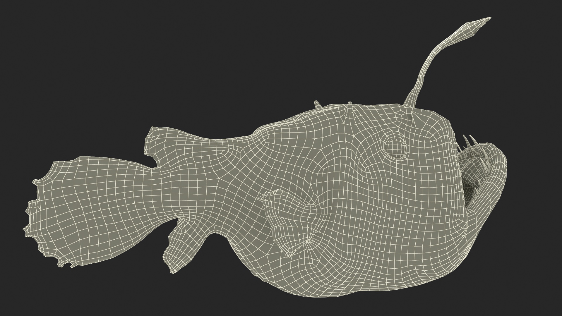 3D Anglerfish Rigged for Cinema 4D