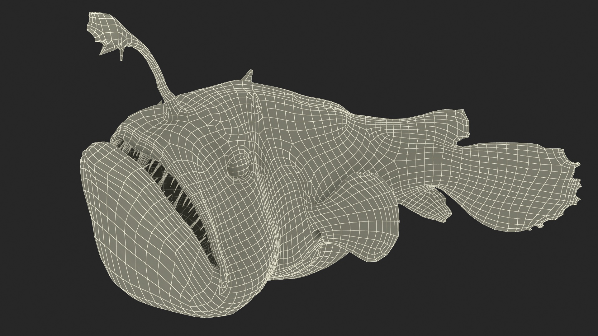 3D Anglerfish Rigged for Cinema 4D