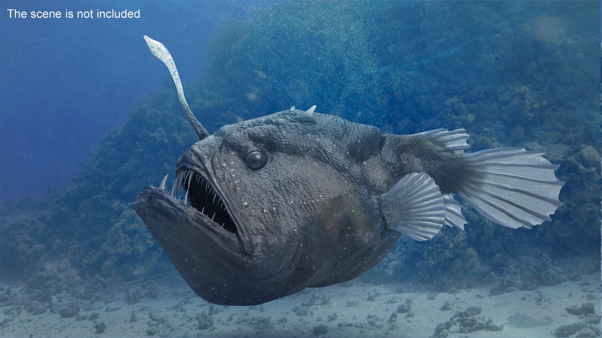 3D Anglerfish Rigged for Cinema 4D