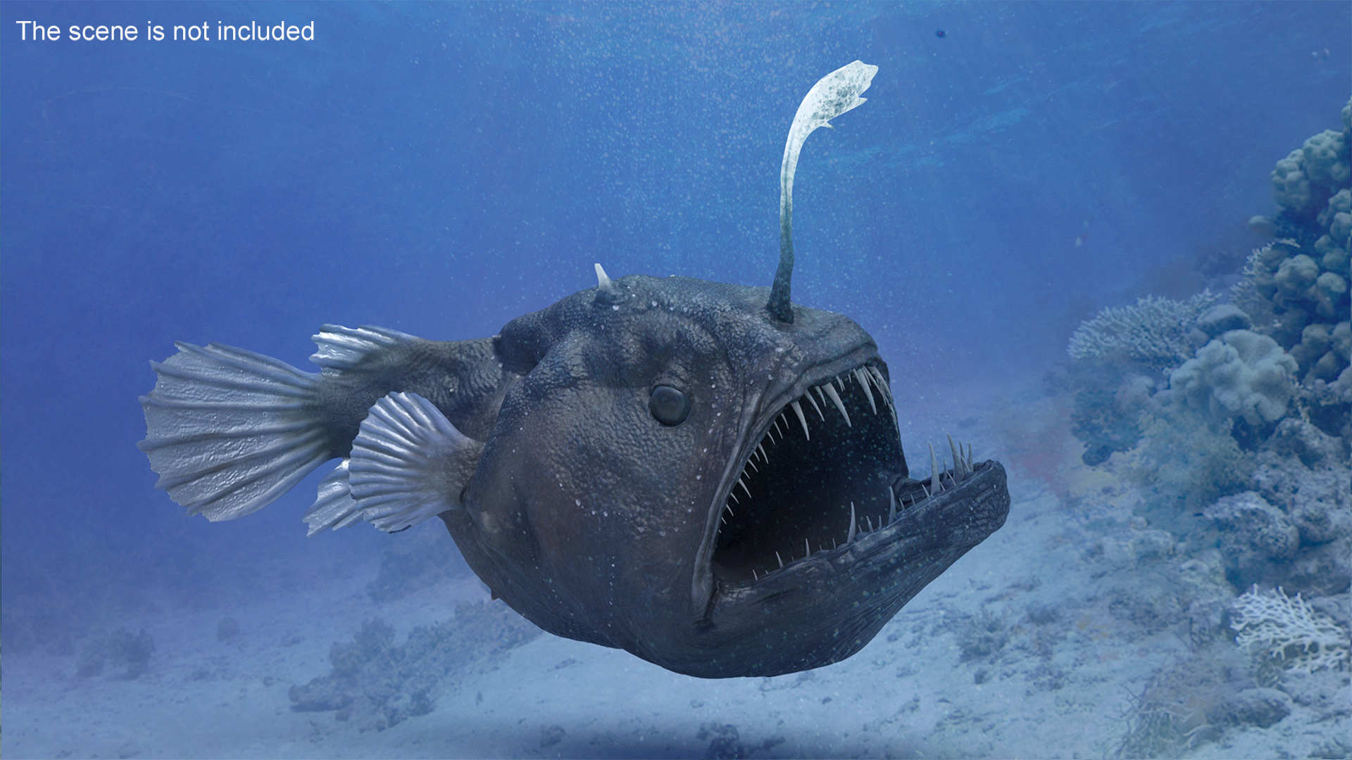 3D Anglerfish Rigged for Cinema 4D