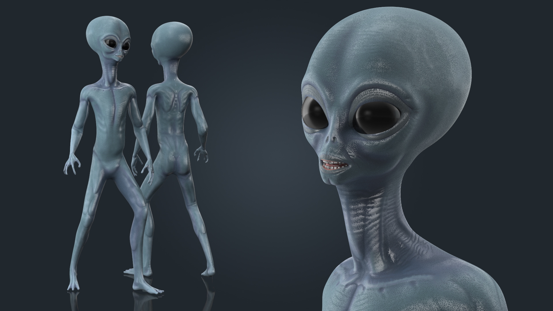 3D Space Alien Rigged model