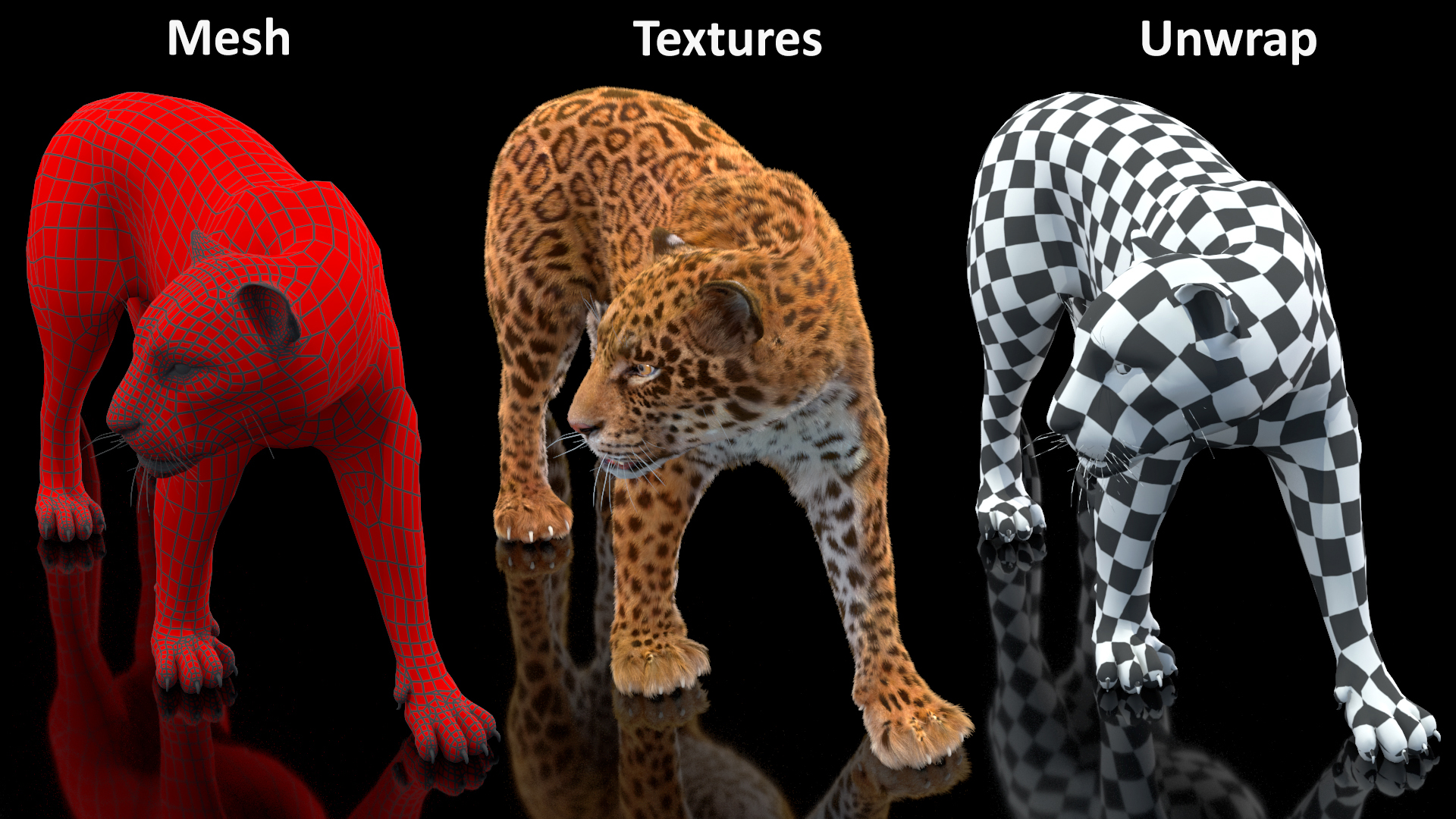 3D Jaguar Walking Pose Fur model