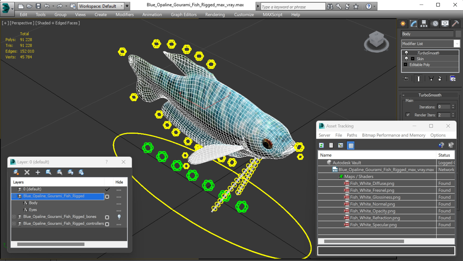 Blue Opaline Gourami Fish Rigged 3D