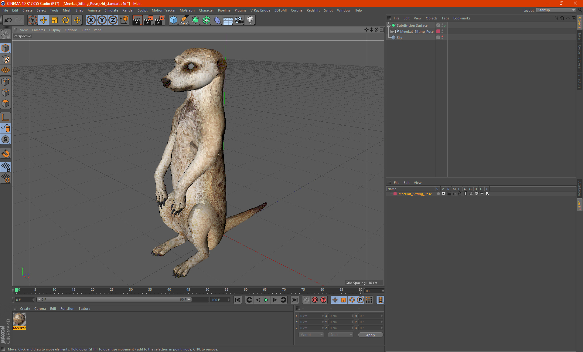 3D model Meerkat Sitting Pose