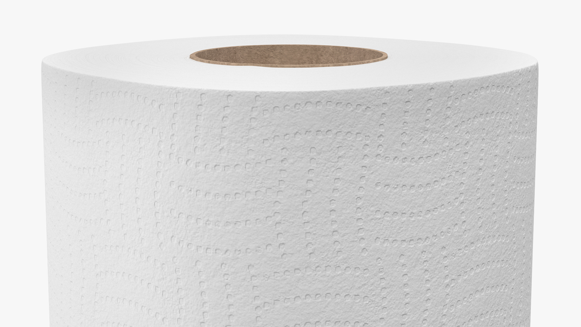 Toilet Paper Roll 3D
