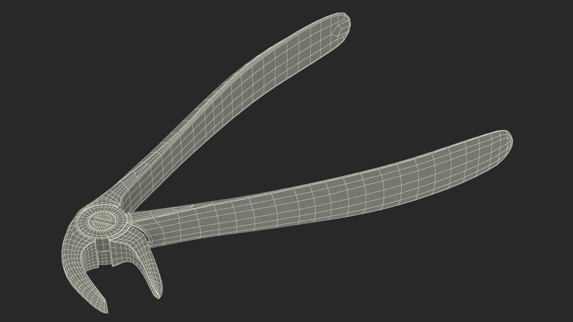 Tooth Extracting Forceps 3D model