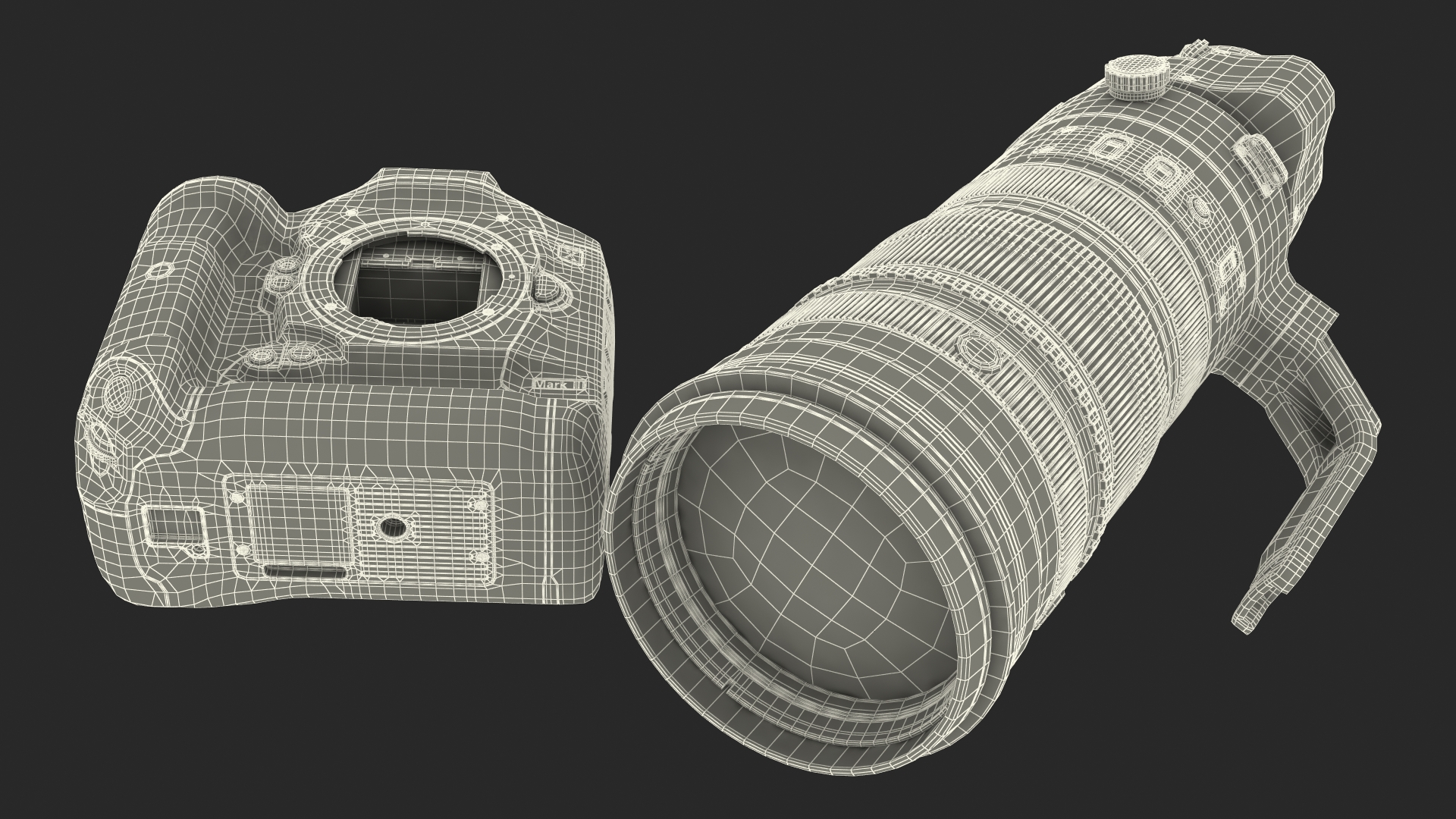 3D Canon EF 200 400mm USM Extender