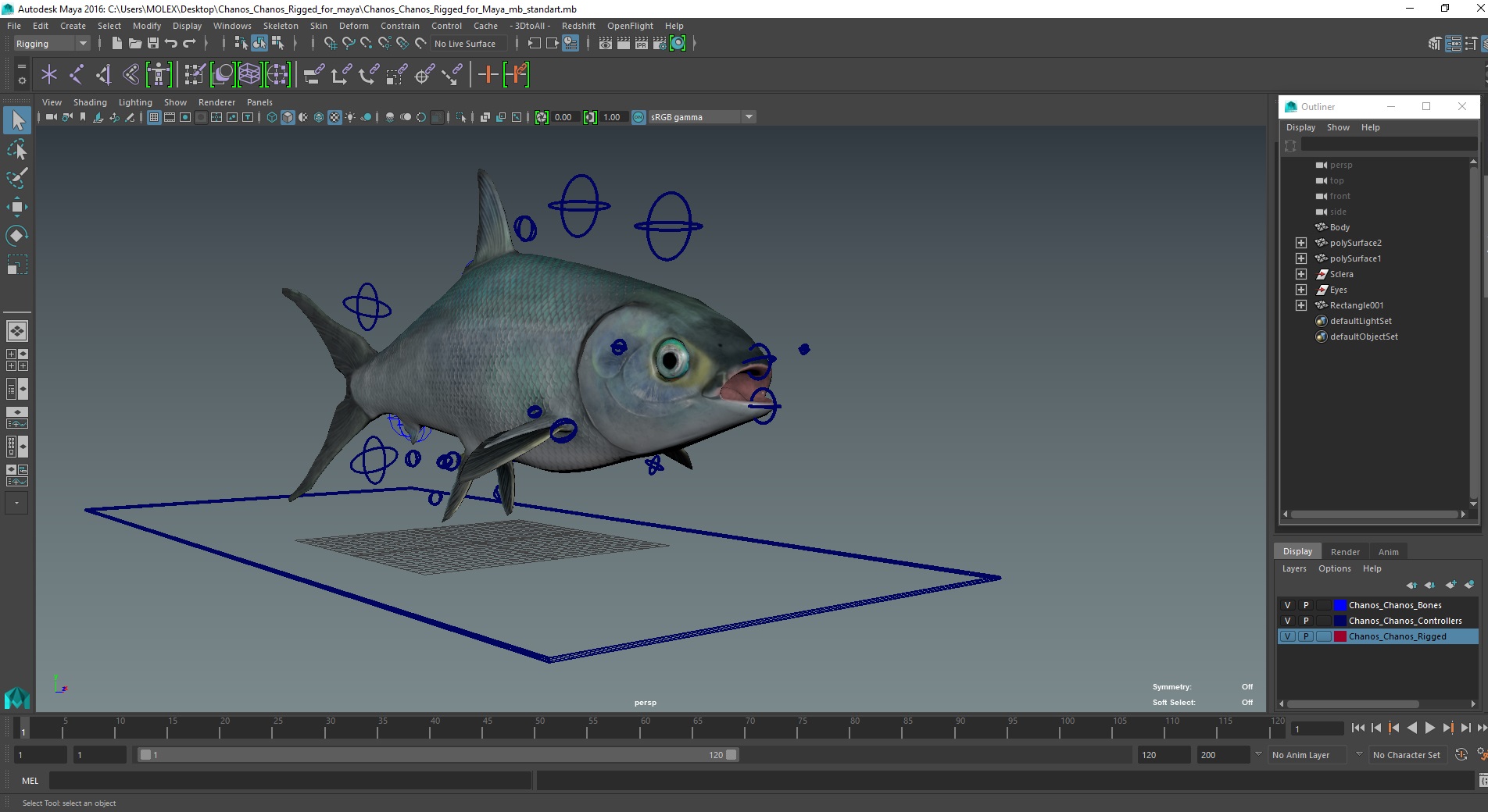 Chanos Chanos Rigged for Maya 3D model