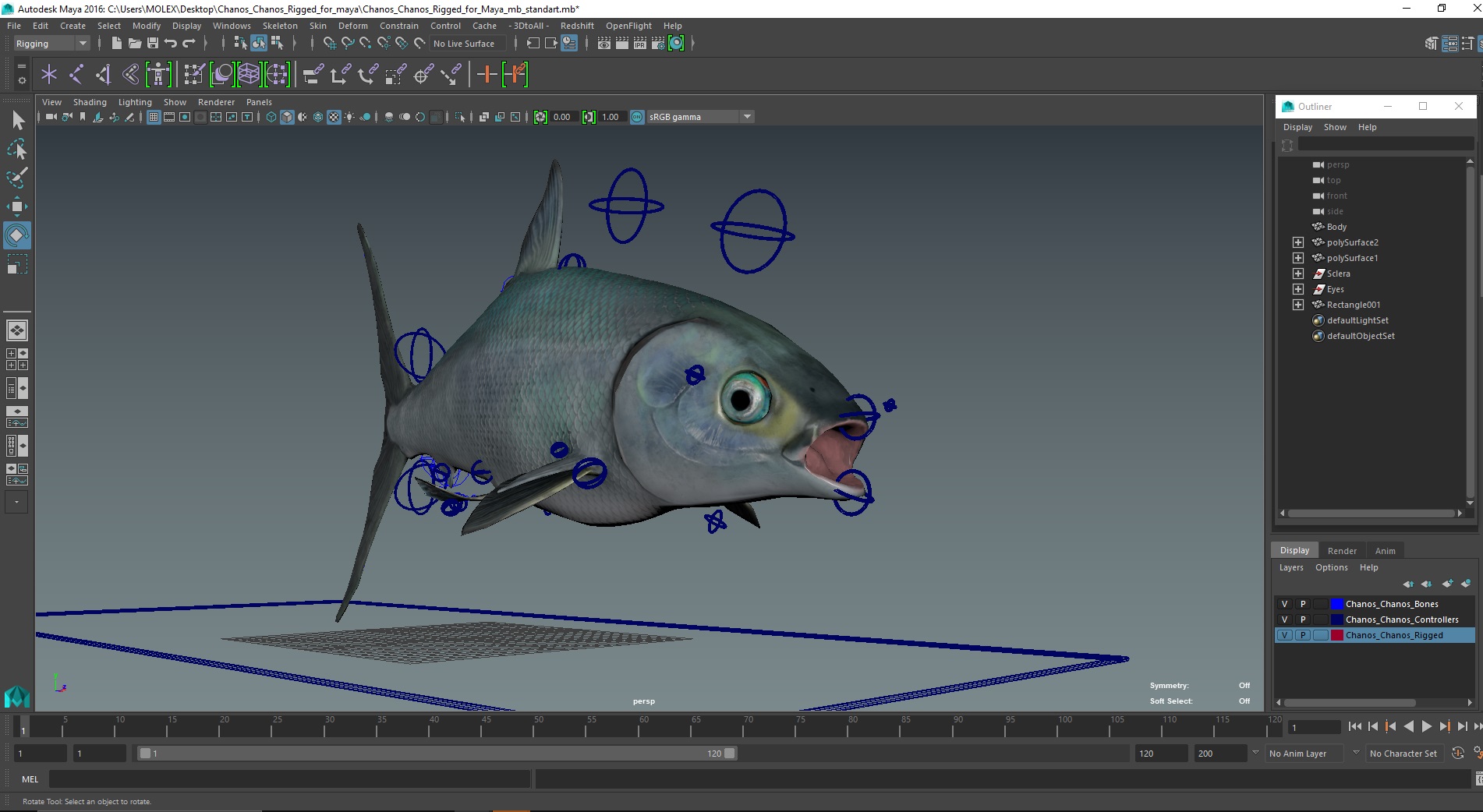 Chanos Chanos Rigged for Maya 3D model