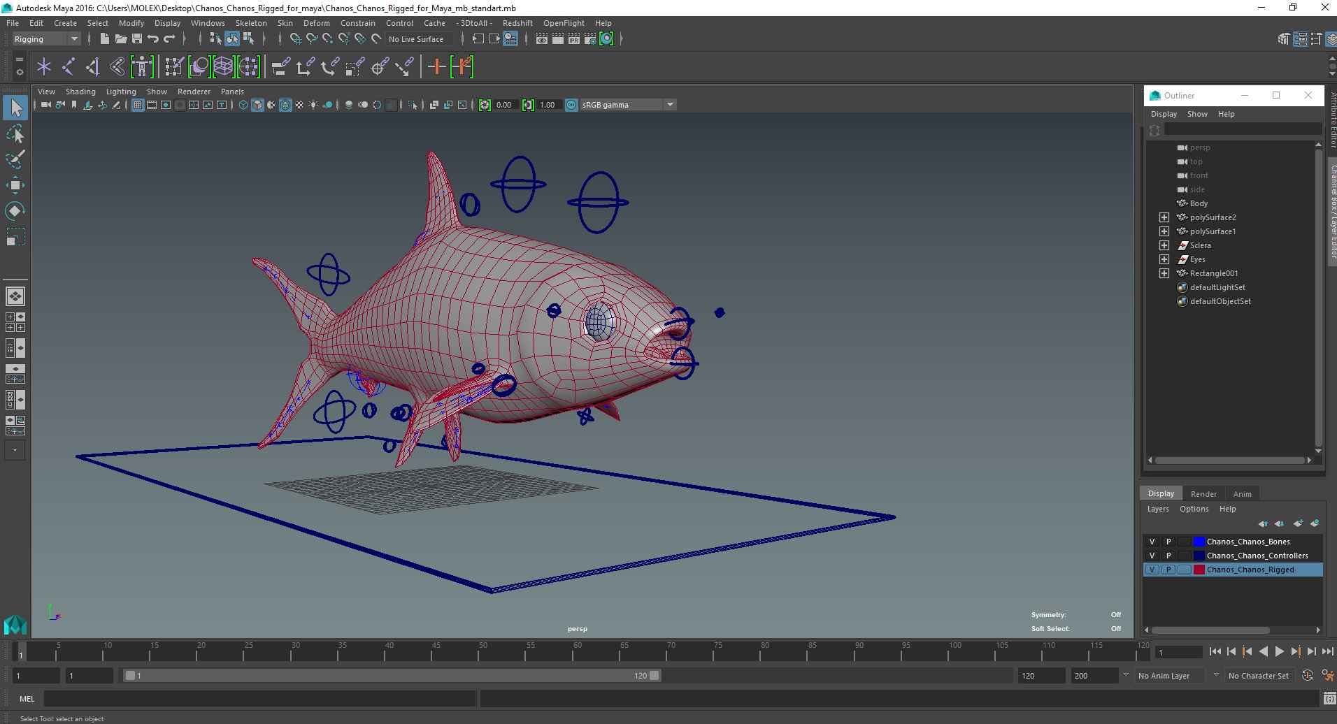 Chanos Chanos Rigged for Maya 3D model