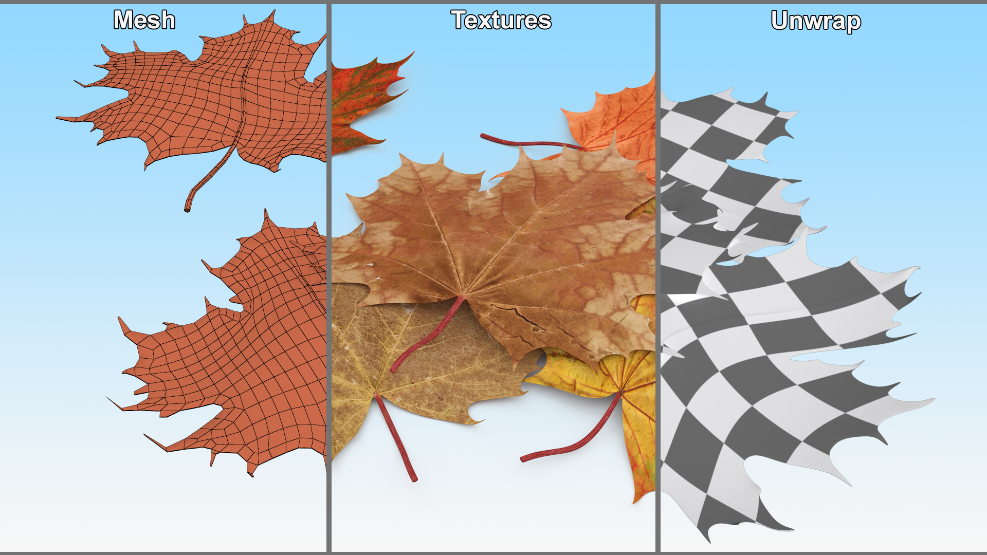 Maple Autumn Fall Leaves 3D model