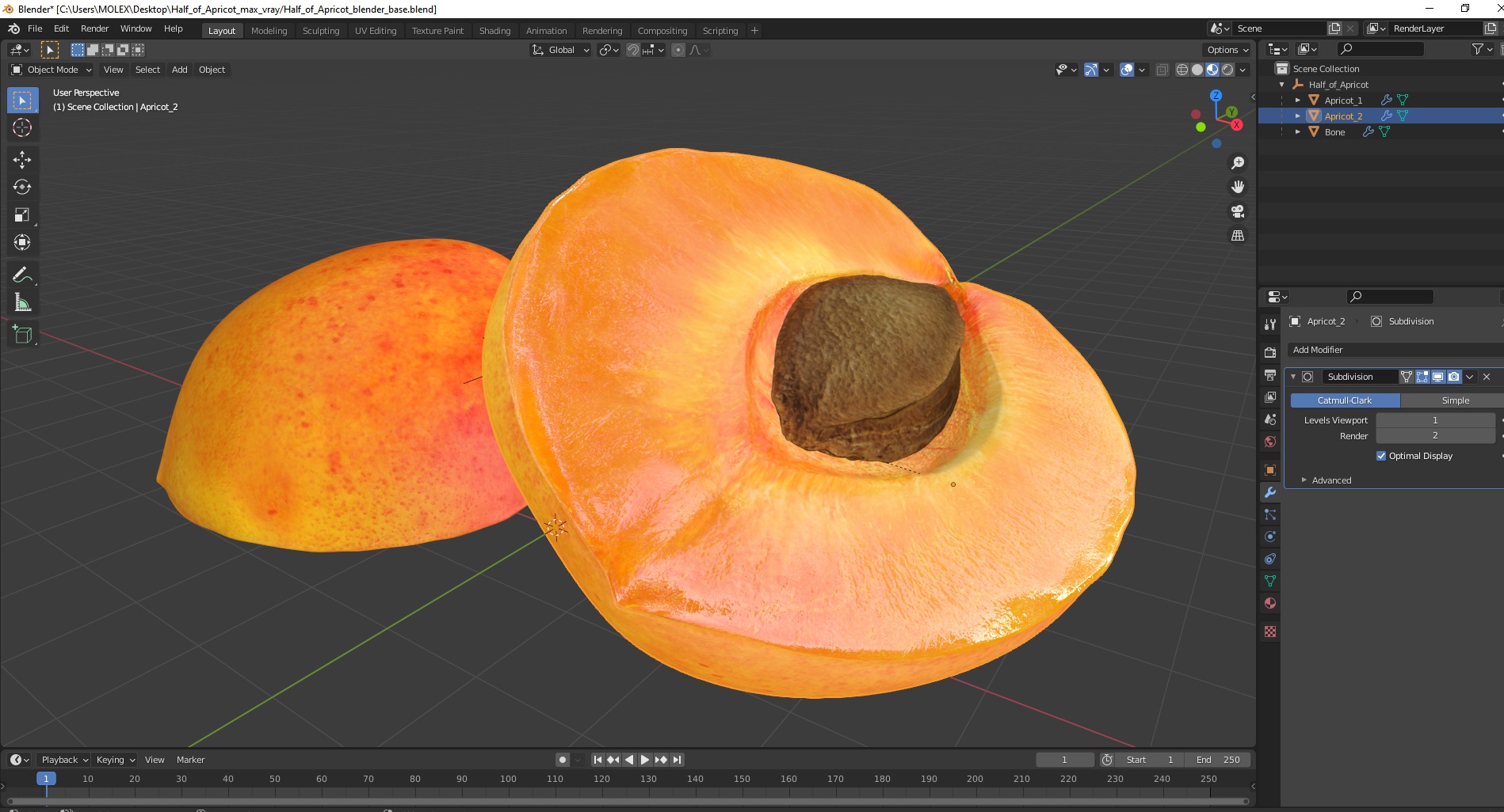 3D model Half of Apricot