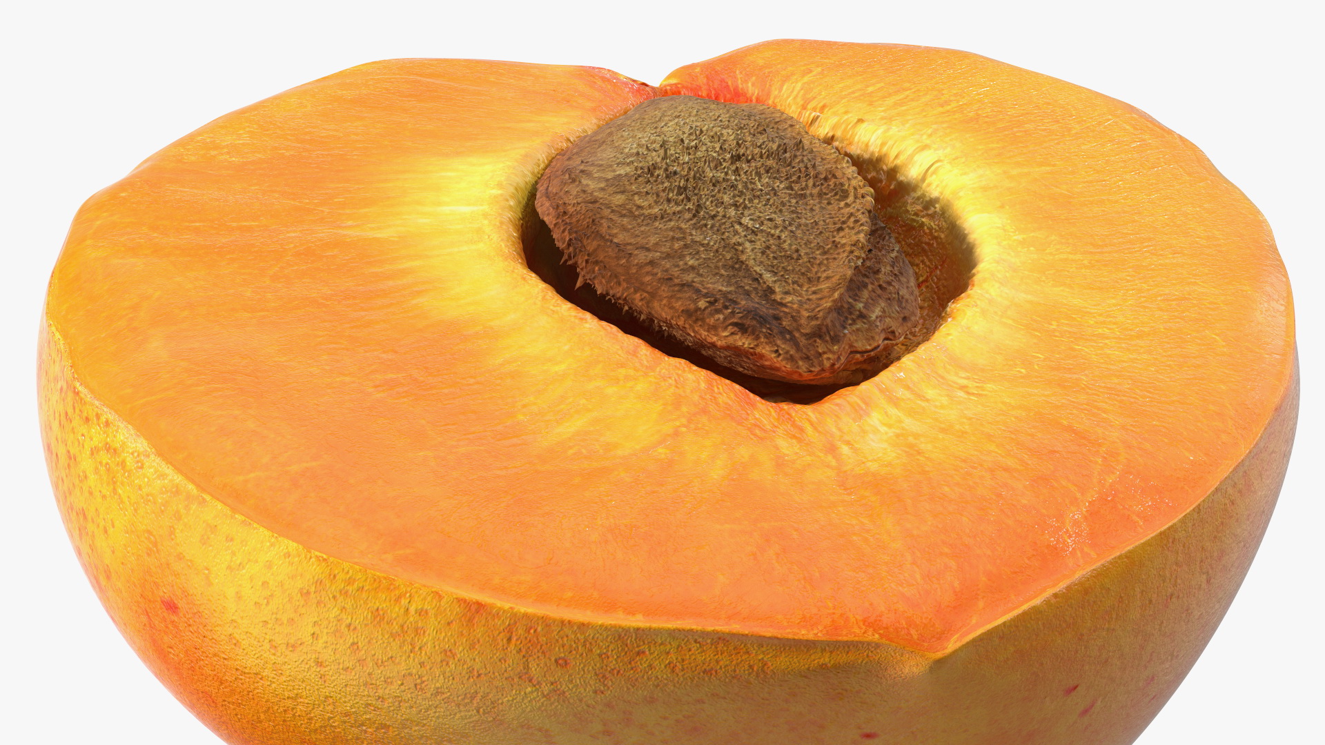 3D model Half of Apricot