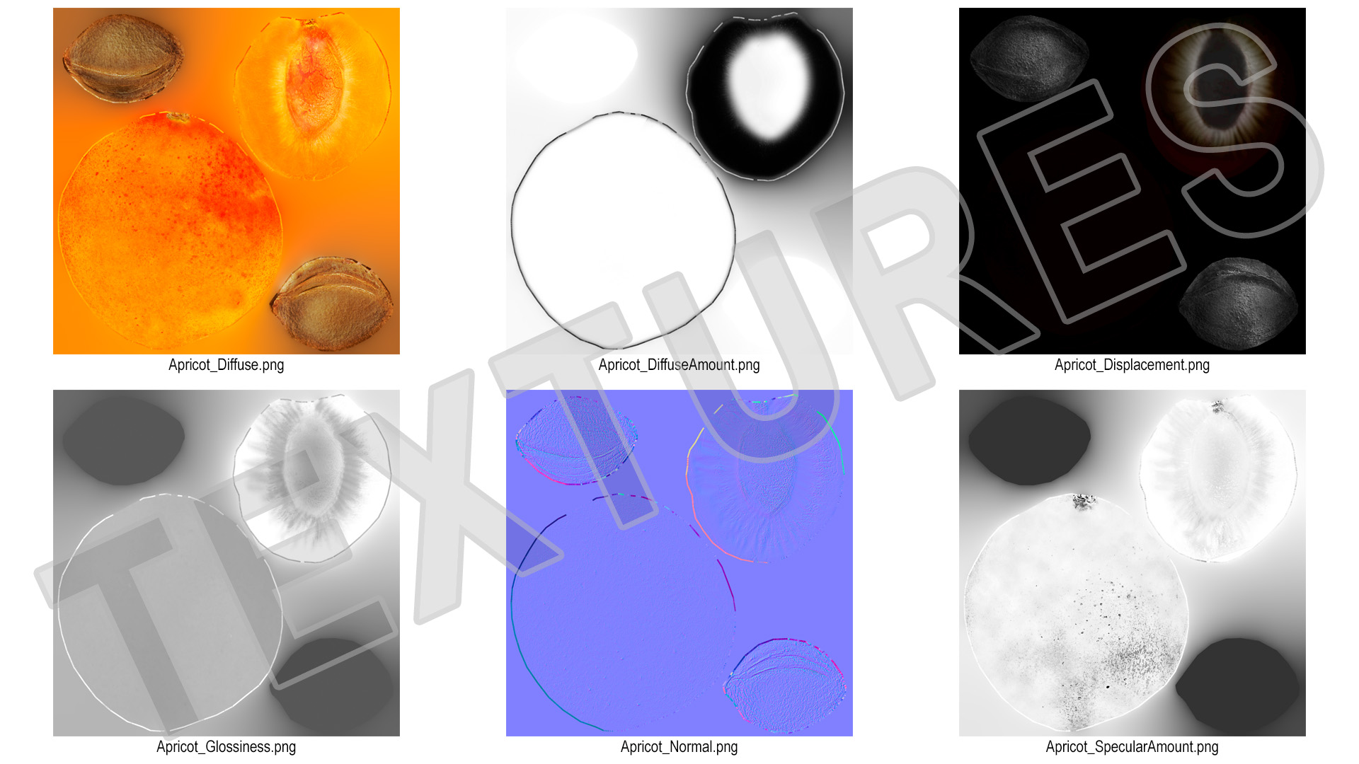 3D model Half of Apricot