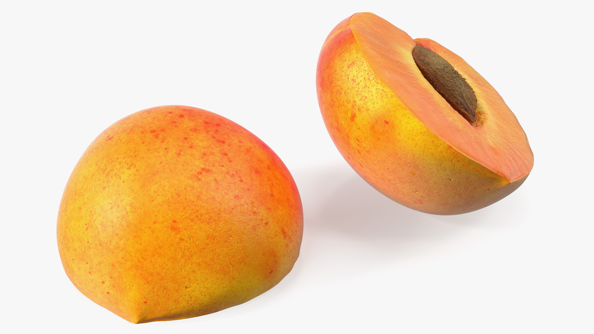 3D model Half of Apricot