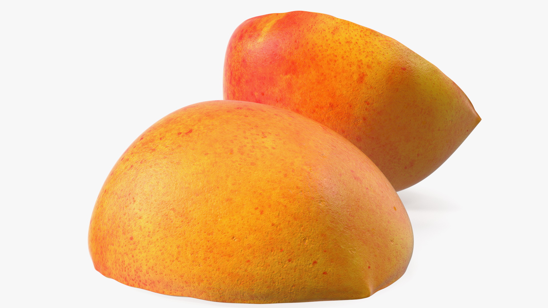 3D model Half of Apricot