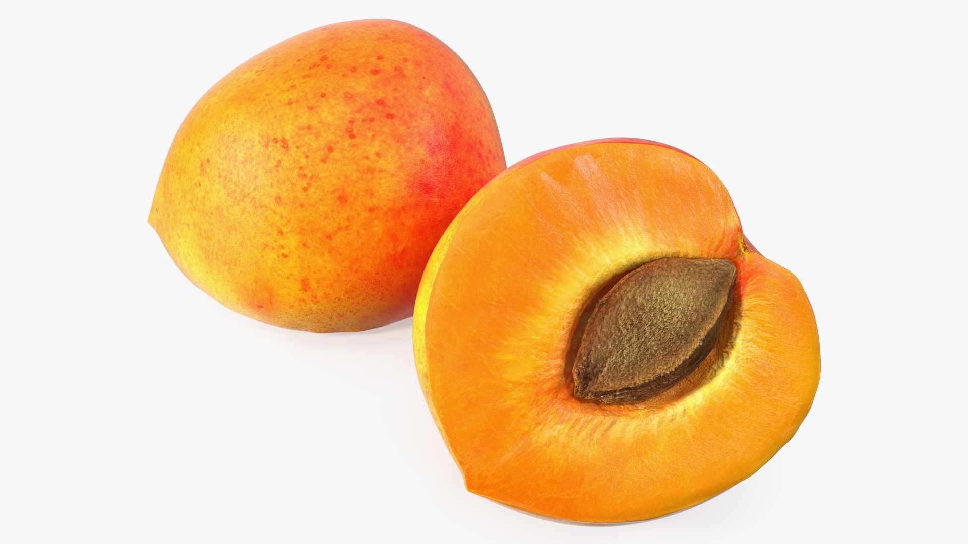 3D model Half of Apricot