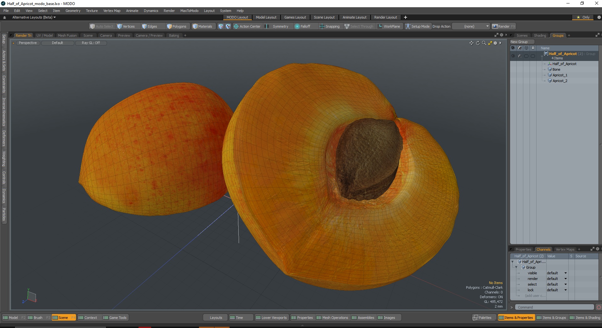 3D model Half of Apricot