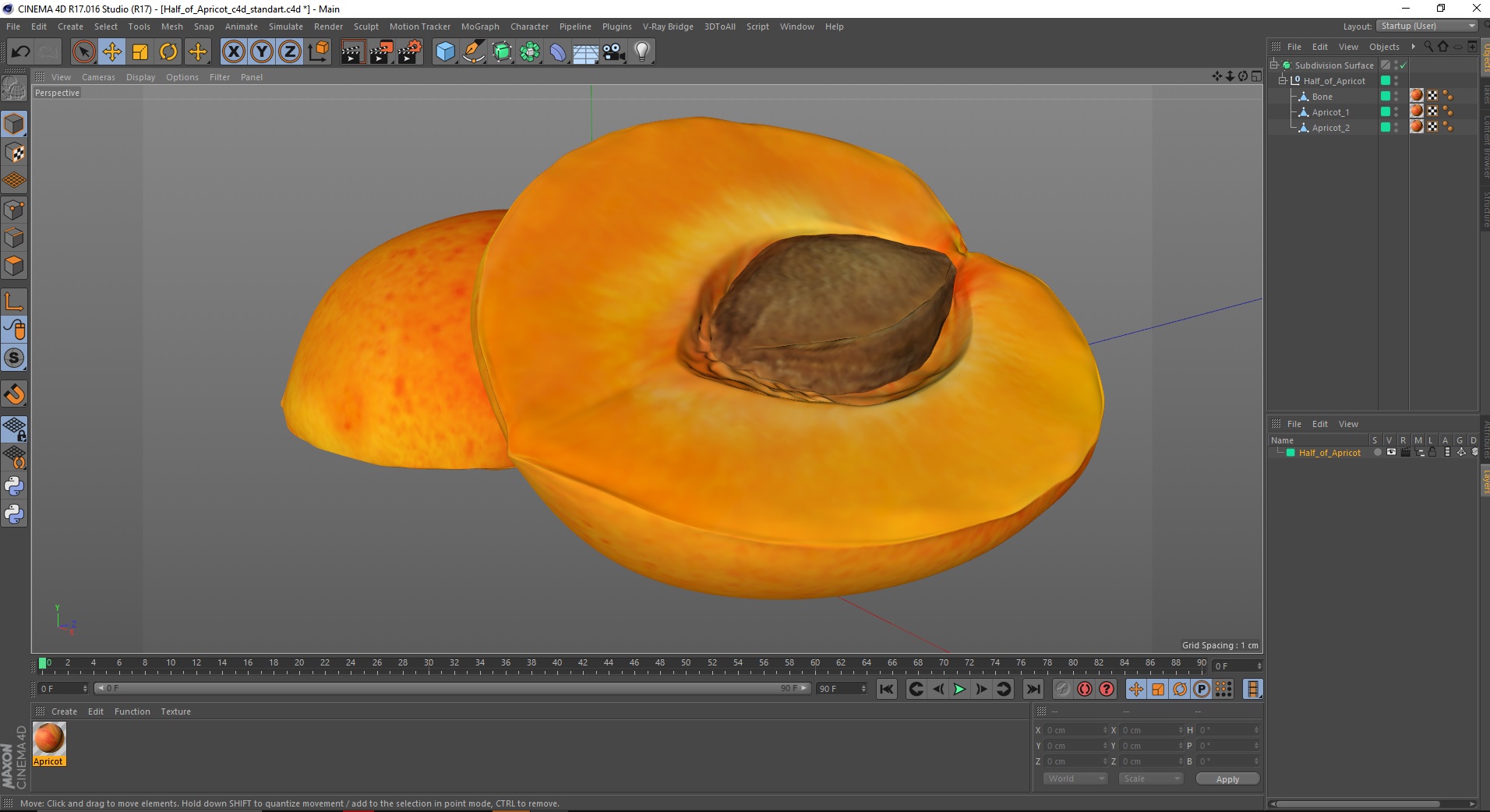 3D model Half of Apricot