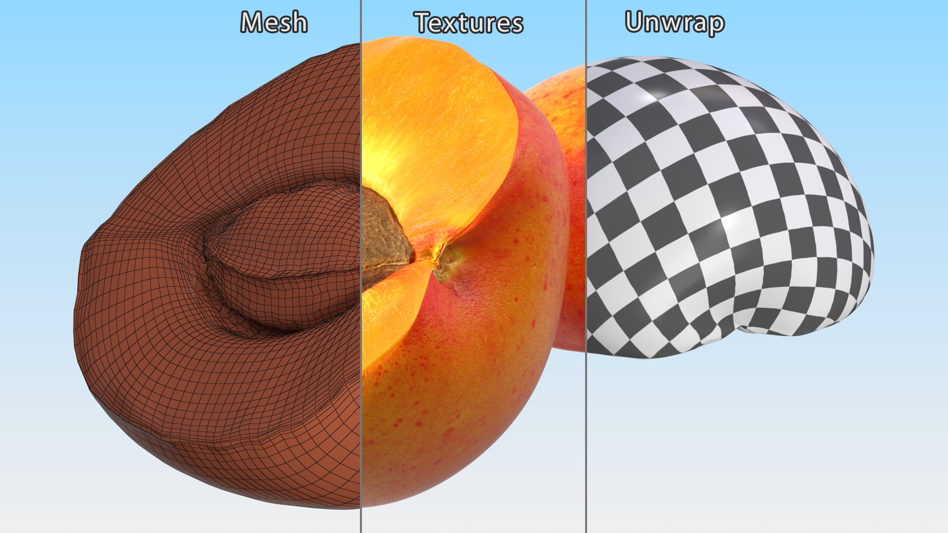 3D model Half of Apricot
