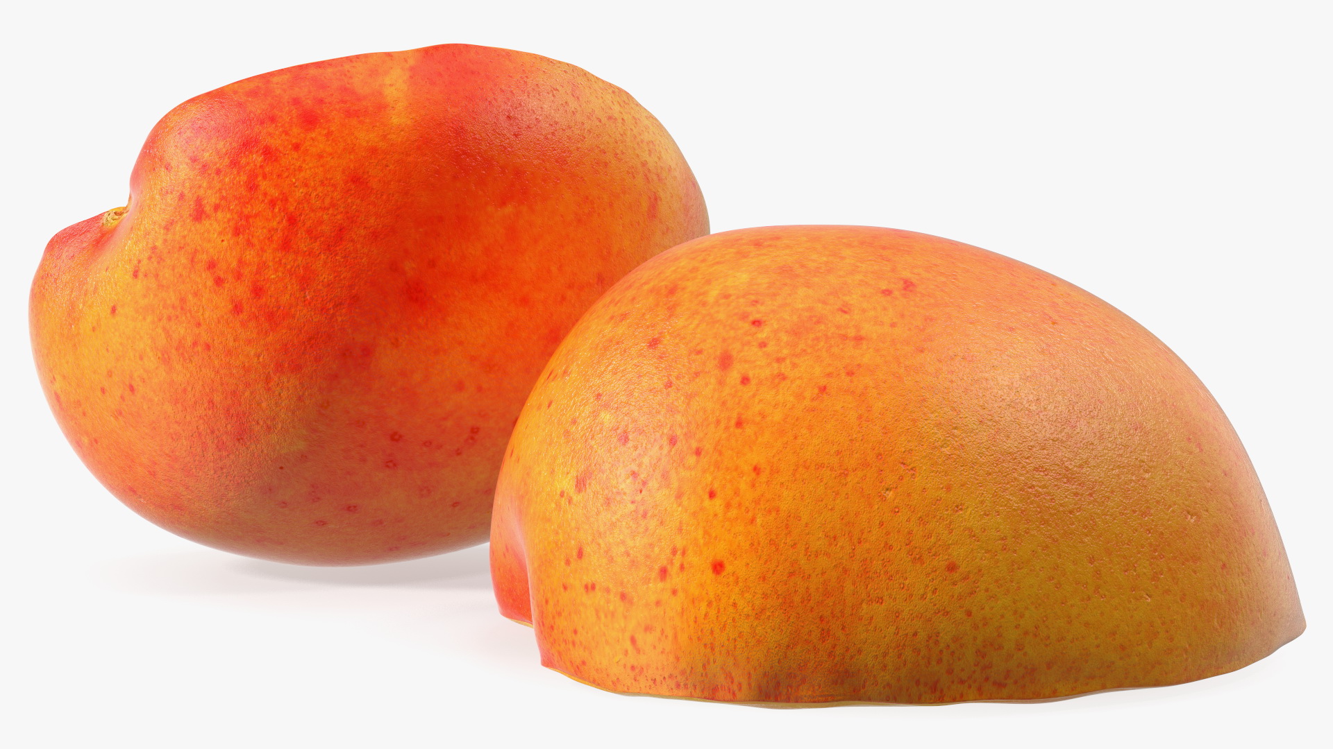 3D model Half of Apricot