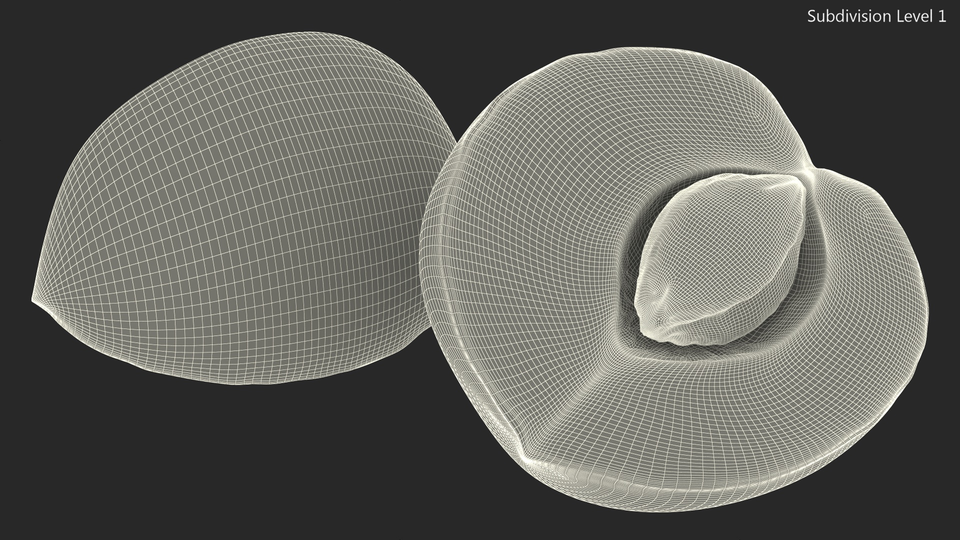 3D model Half of Apricot
