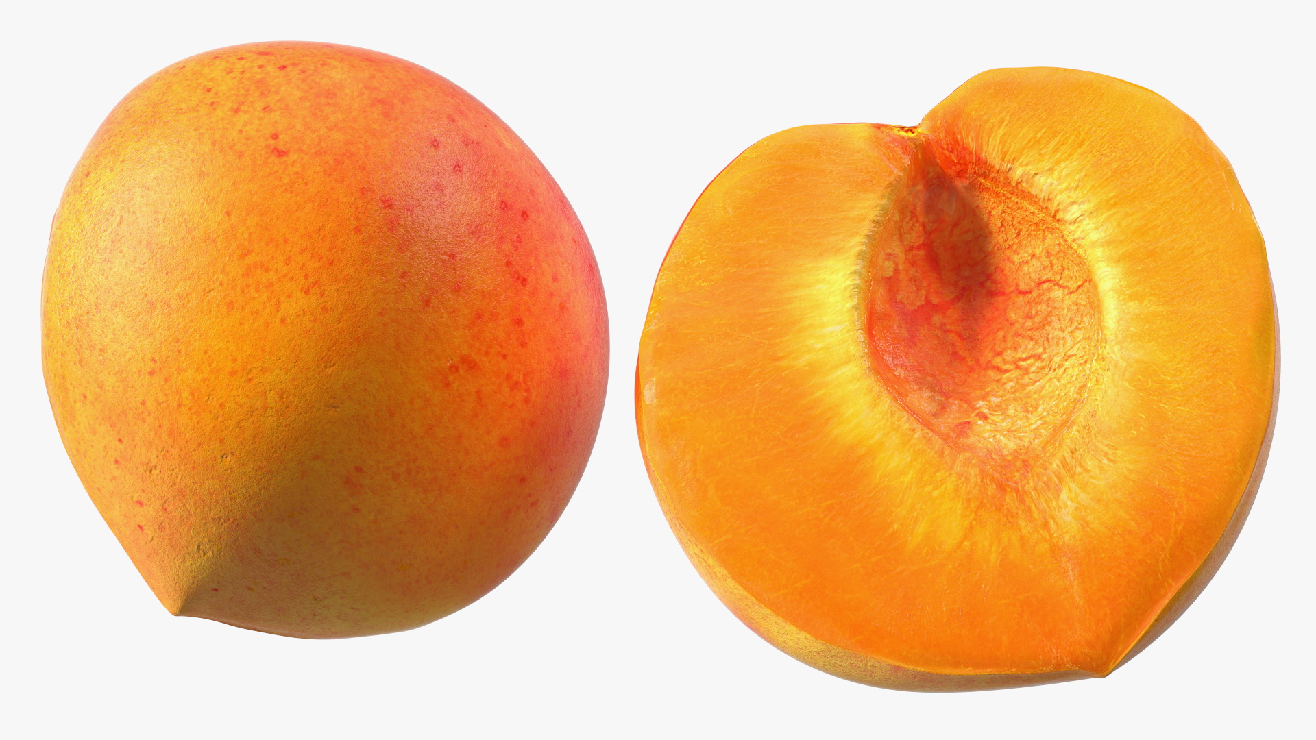 3D model Half of Apricot