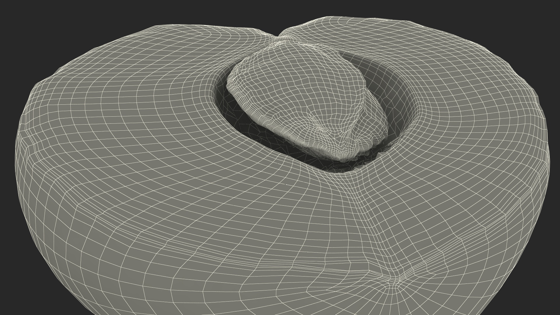 3D model Half of Apricot