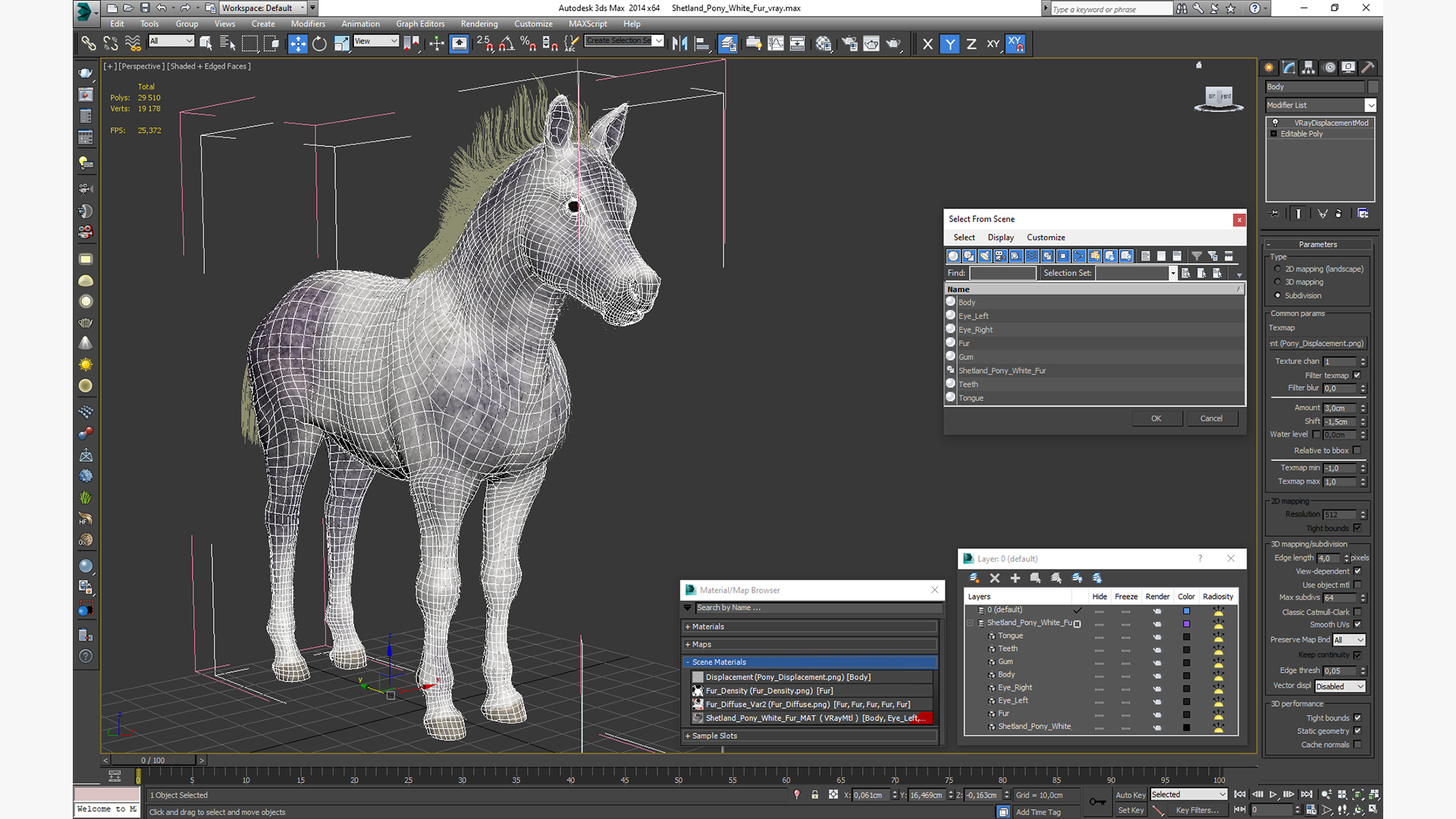 3D Shetland Pony White Fur model